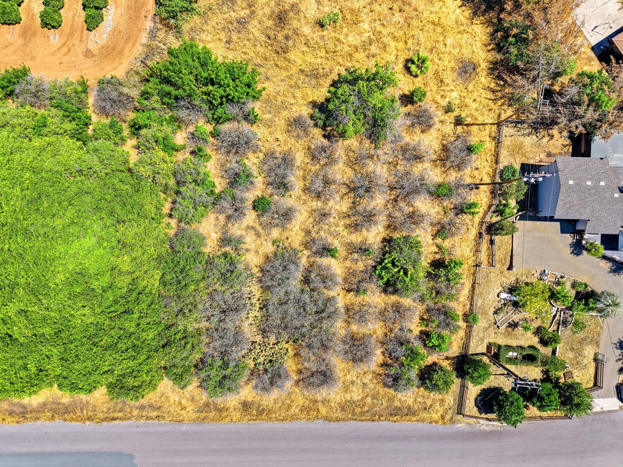 24058 Rancho Vista Ave, Lindsay, CA 93247