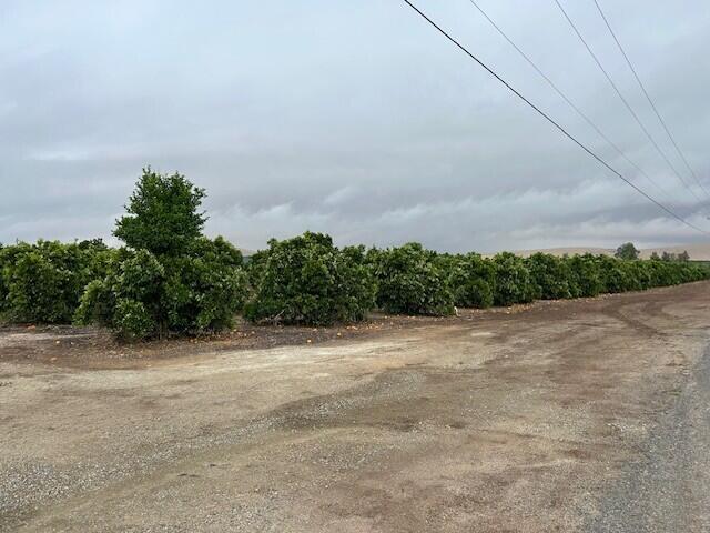 0 Ave 88 And Rd 264, Terra Bella, CA 93270