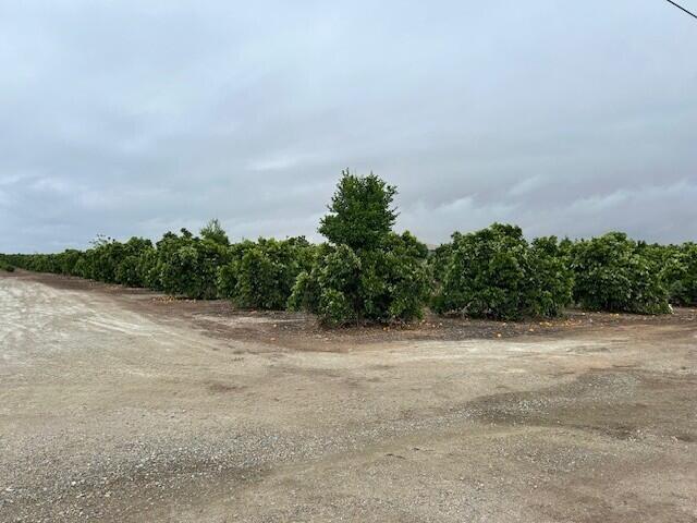 0 Ave 88 And Rd 264, Terra Bella, CA 93270