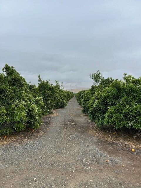 0 Ave 88 And Rd 264, Terra Bella, CA 93270