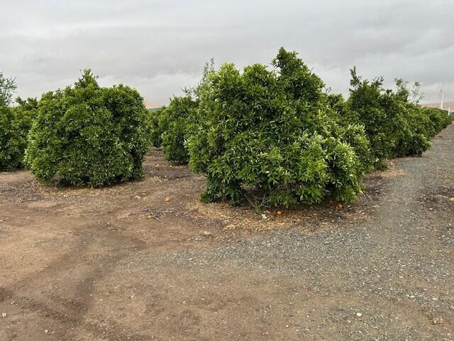 0 Ave 88 And Rd 264, Terra Bella, CA 93270