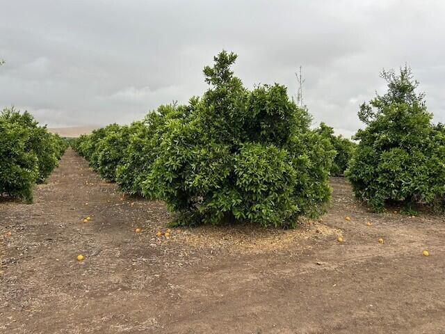 0 Ave 88 And Rd 264, Terra Bella, CA 93270