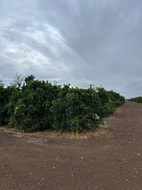 0 Ave 88 And Rd 264, Terra Bella, CA 93270