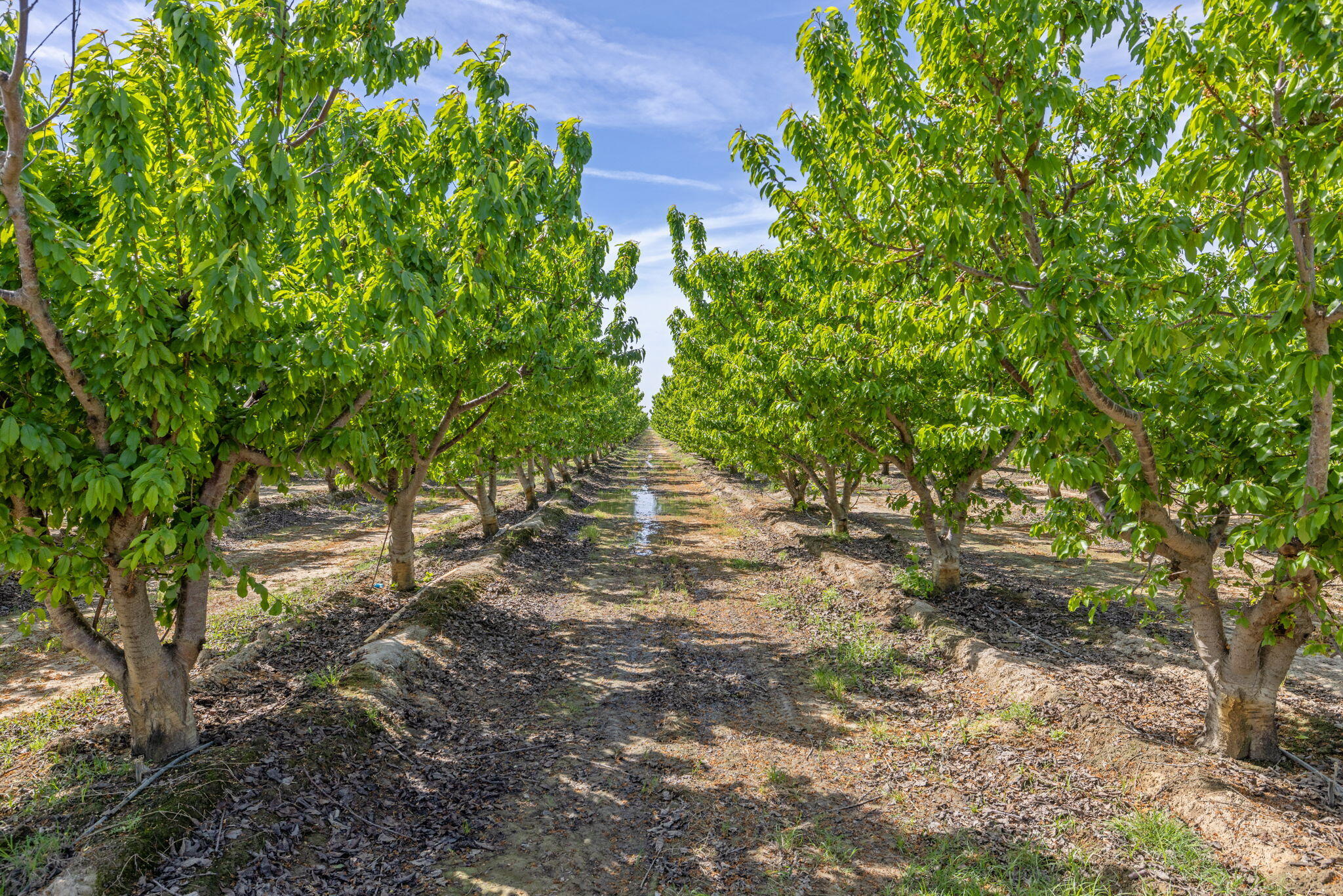 0 W Hanford Armona Rd, Lemoore, CA 93245