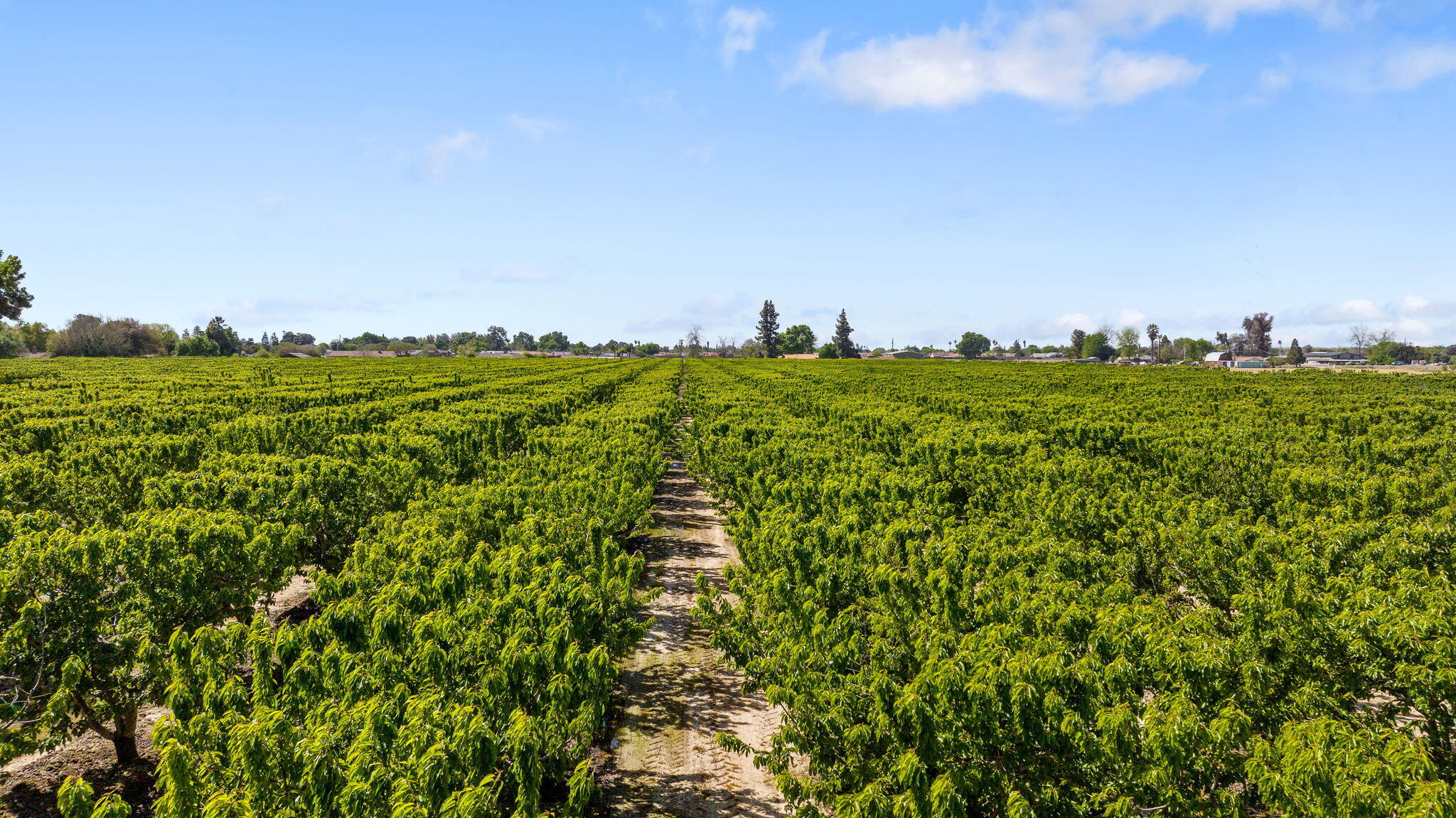 0 W Hanford Armona Rd, Lemoore, CA 93245