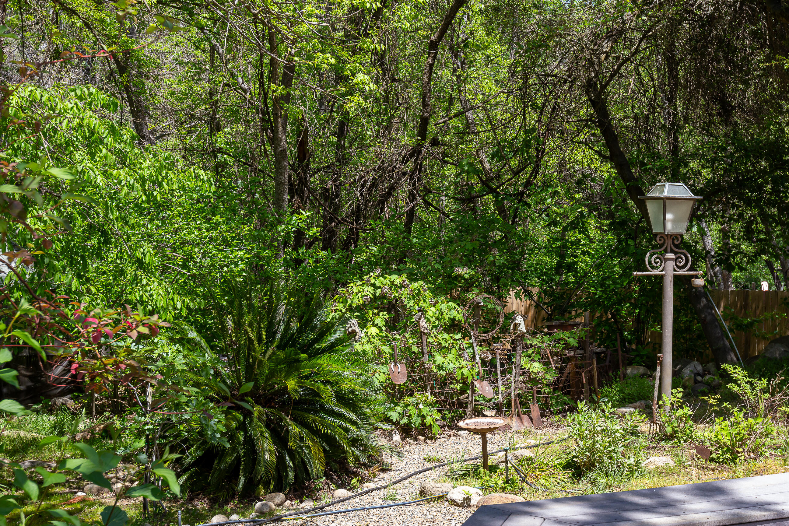 43195 S Fork Dr, Three Rivers, CA 93271