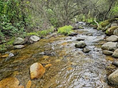 43195 S Fork Dr, Three Rivers, CA 93271