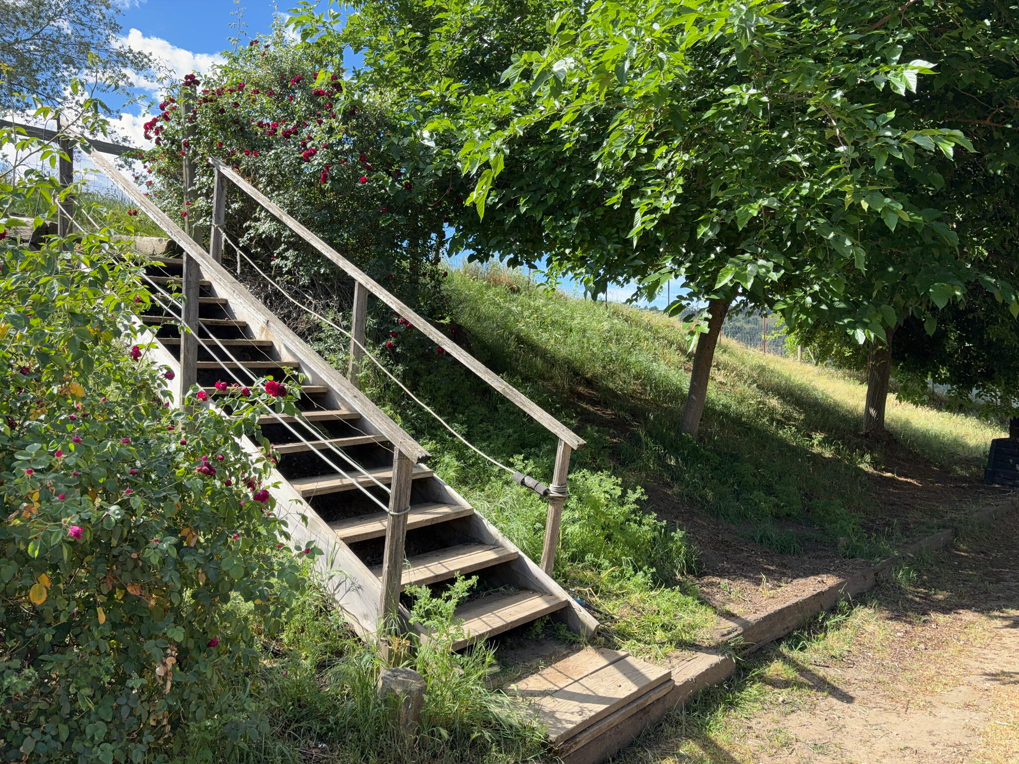 39569 Clover Ln, Yokuts Valley, CA 93675