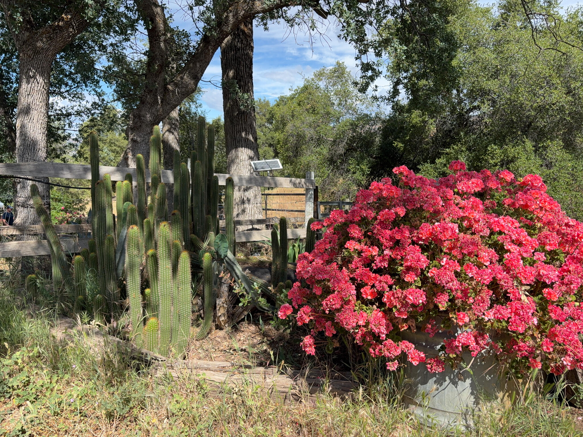 39569 Clover Ln, Yokuts Valley, CA 93675