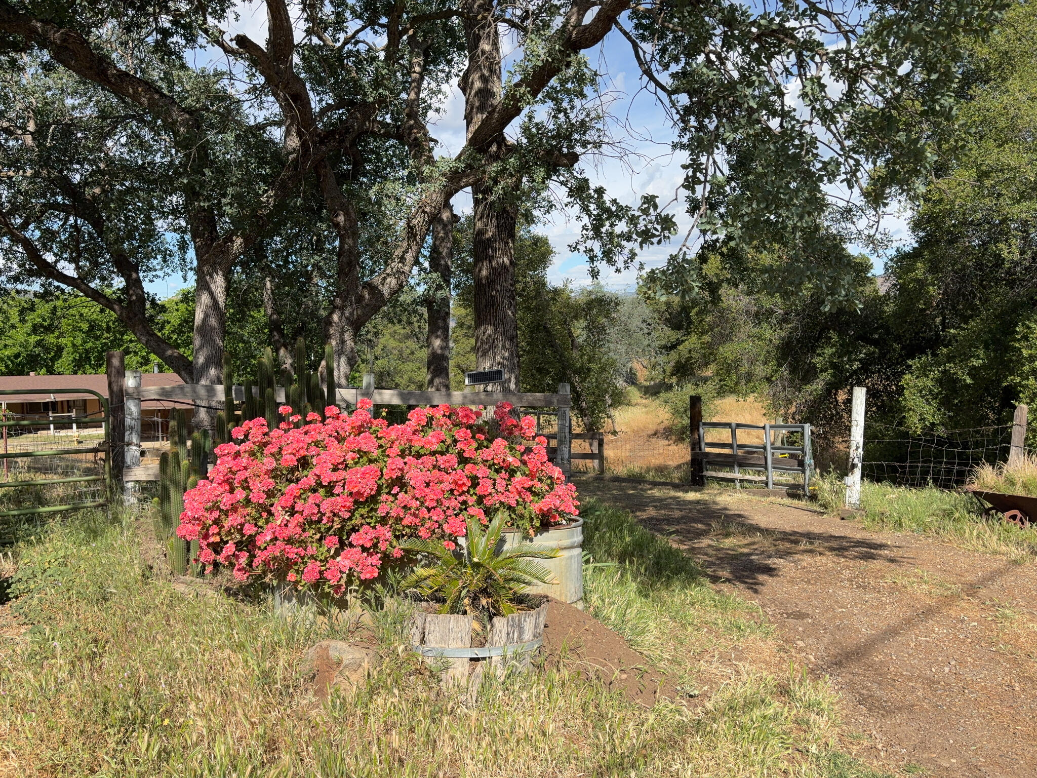 39569 Clover Ln, Yokuts Valley, CA 93675