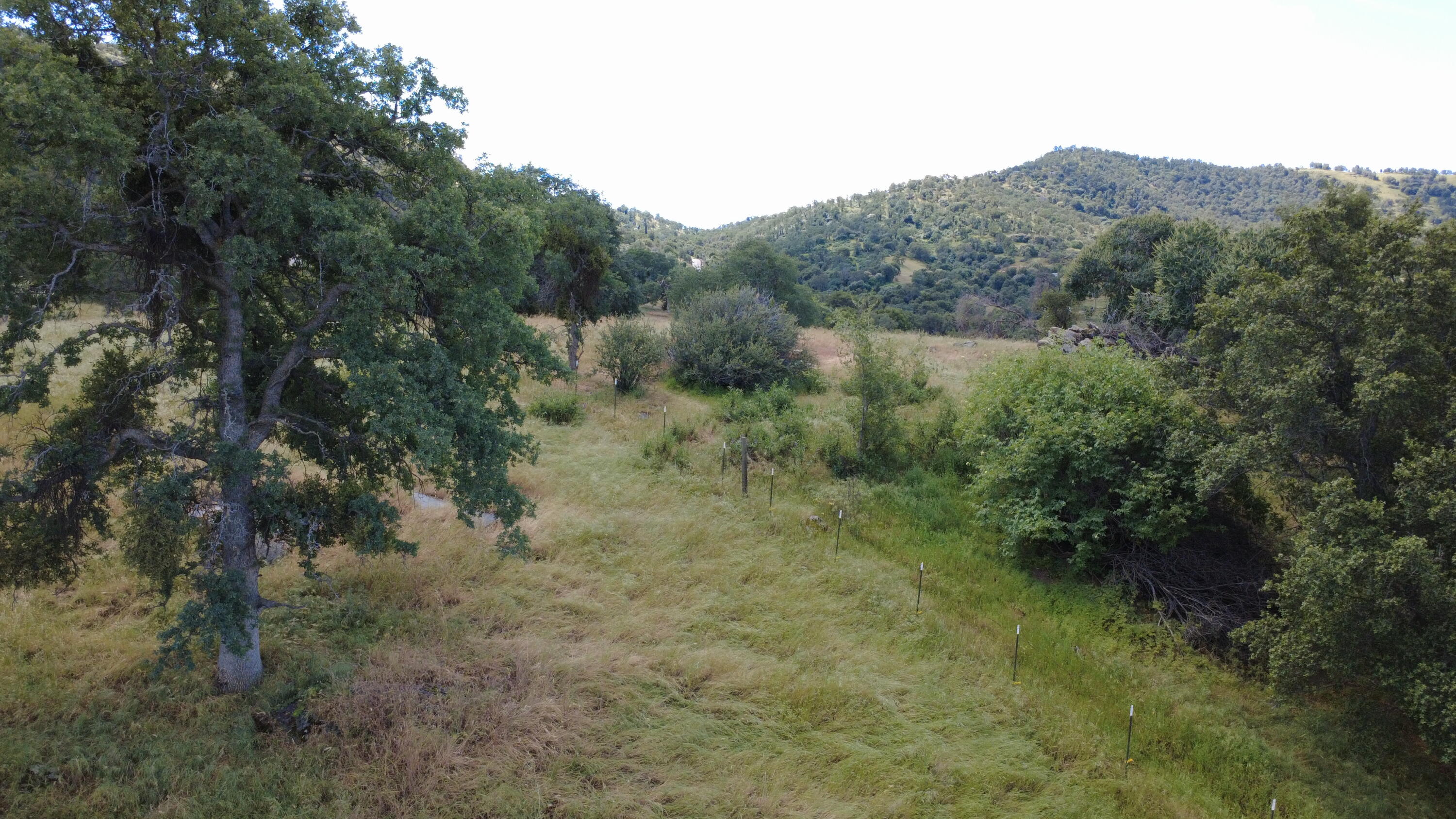 39569 Clover Ln, Yokuts Valley, CA 93675