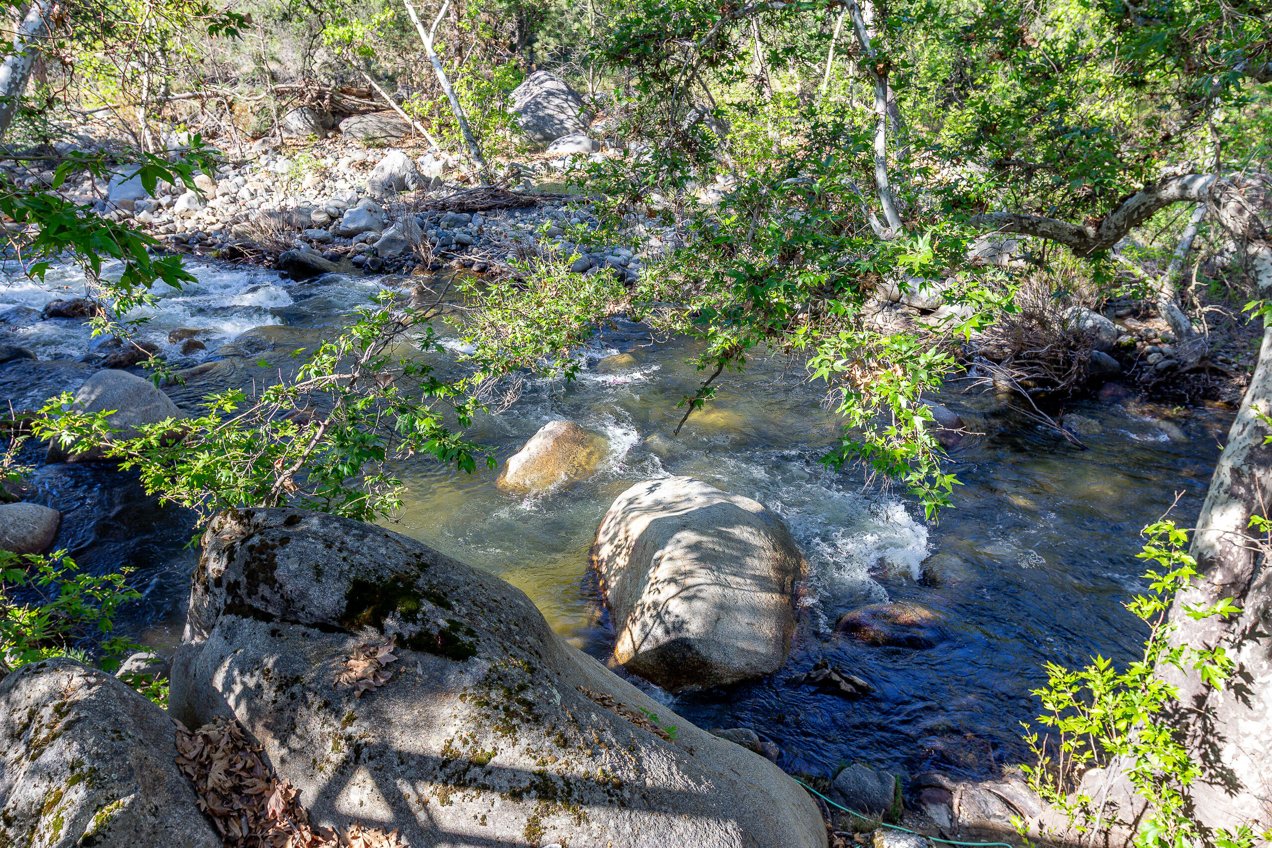 47993 N Fork Dr, Three Rivers, CA 93271