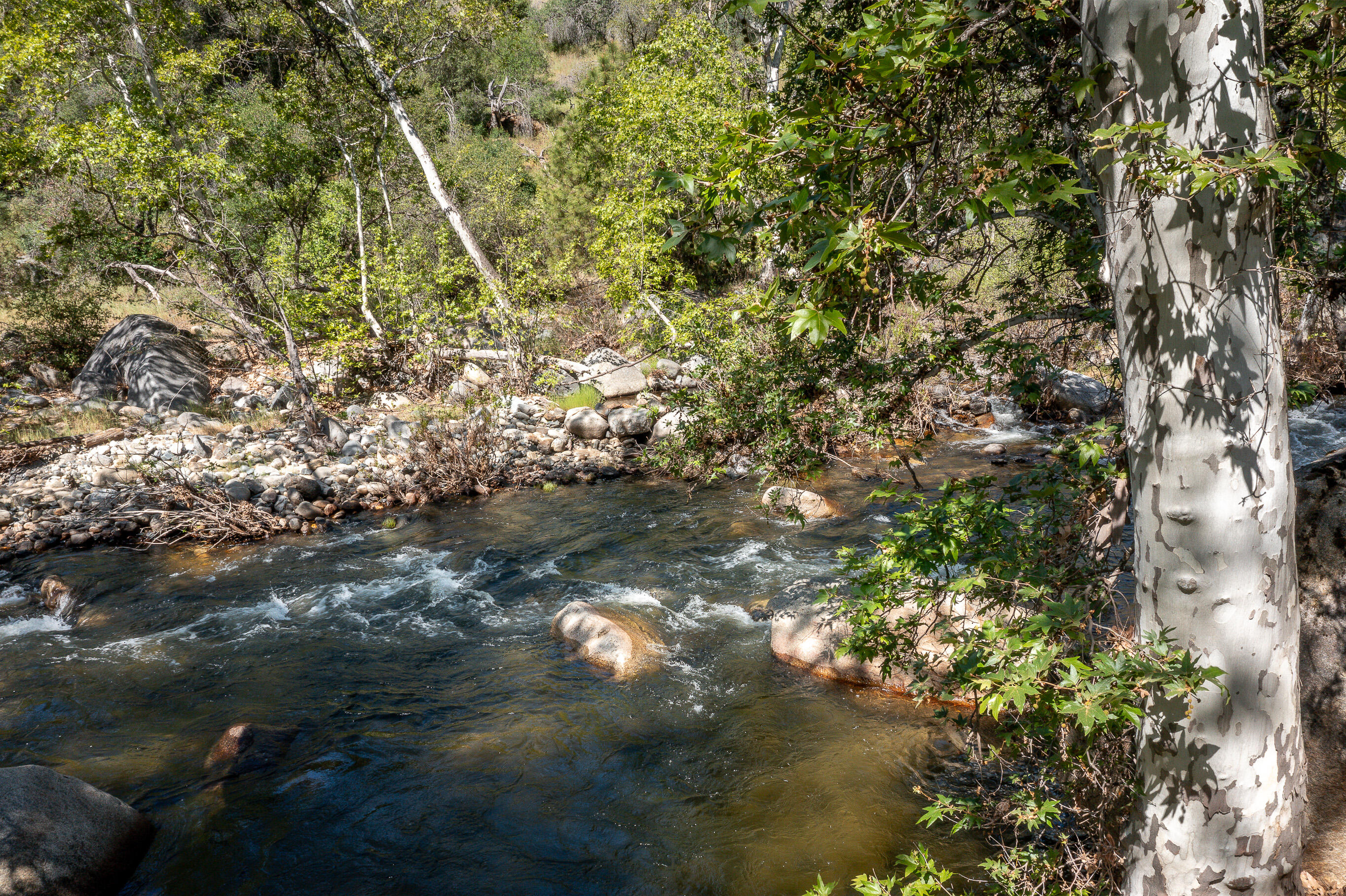 47993 N Fork Dr, Three Rivers, CA 93271