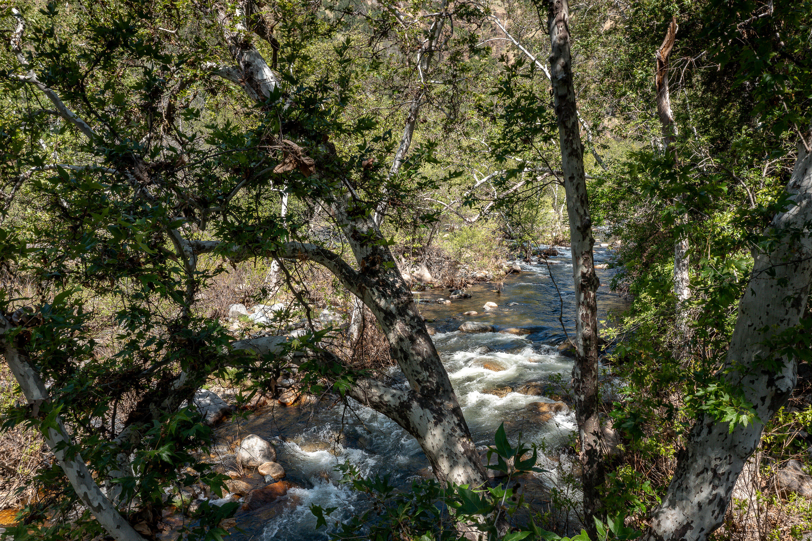 47993 N Fork Dr, Three Rivers, CA 93271