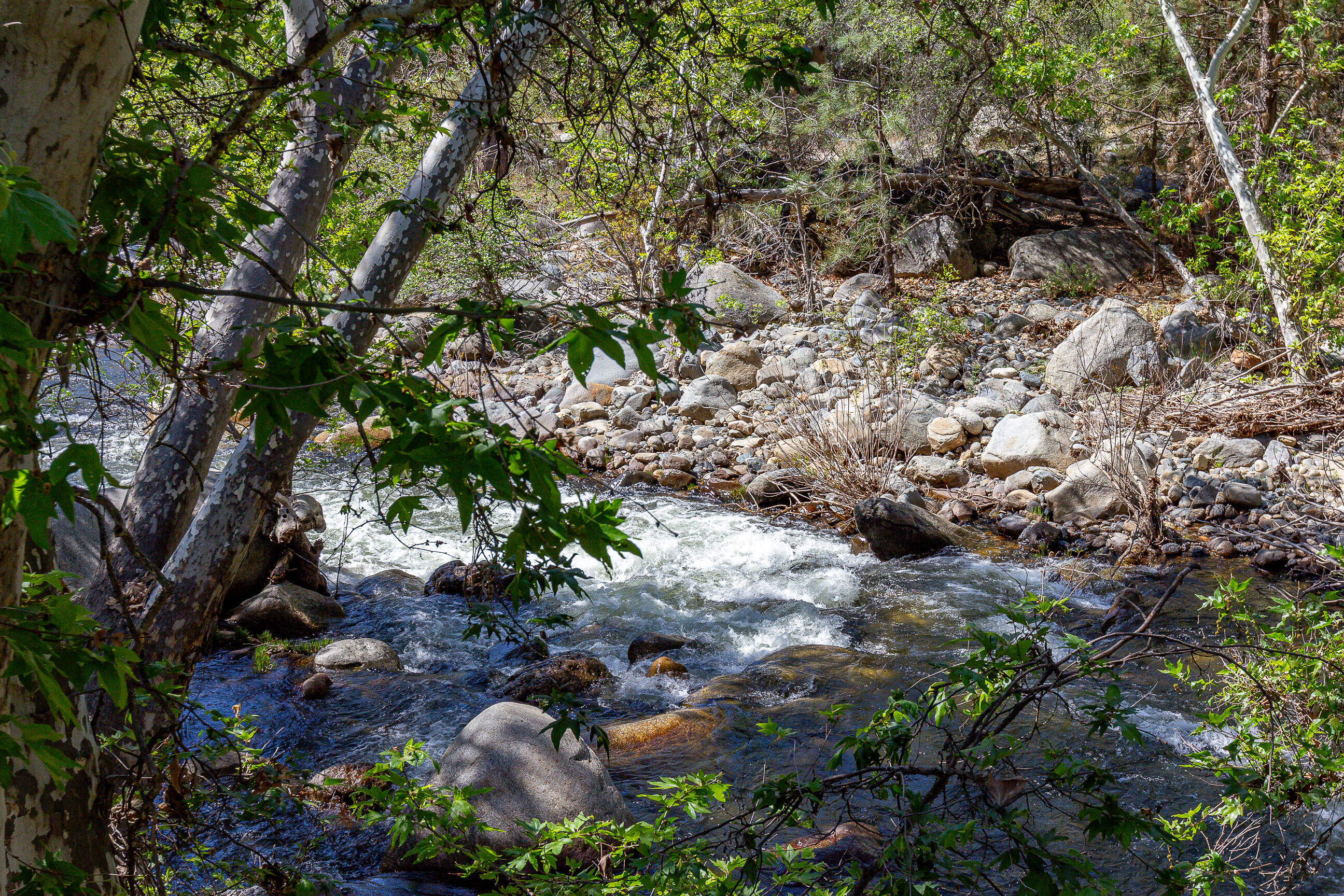 47993 N Fork Dr, Three Rivers, CA 93271