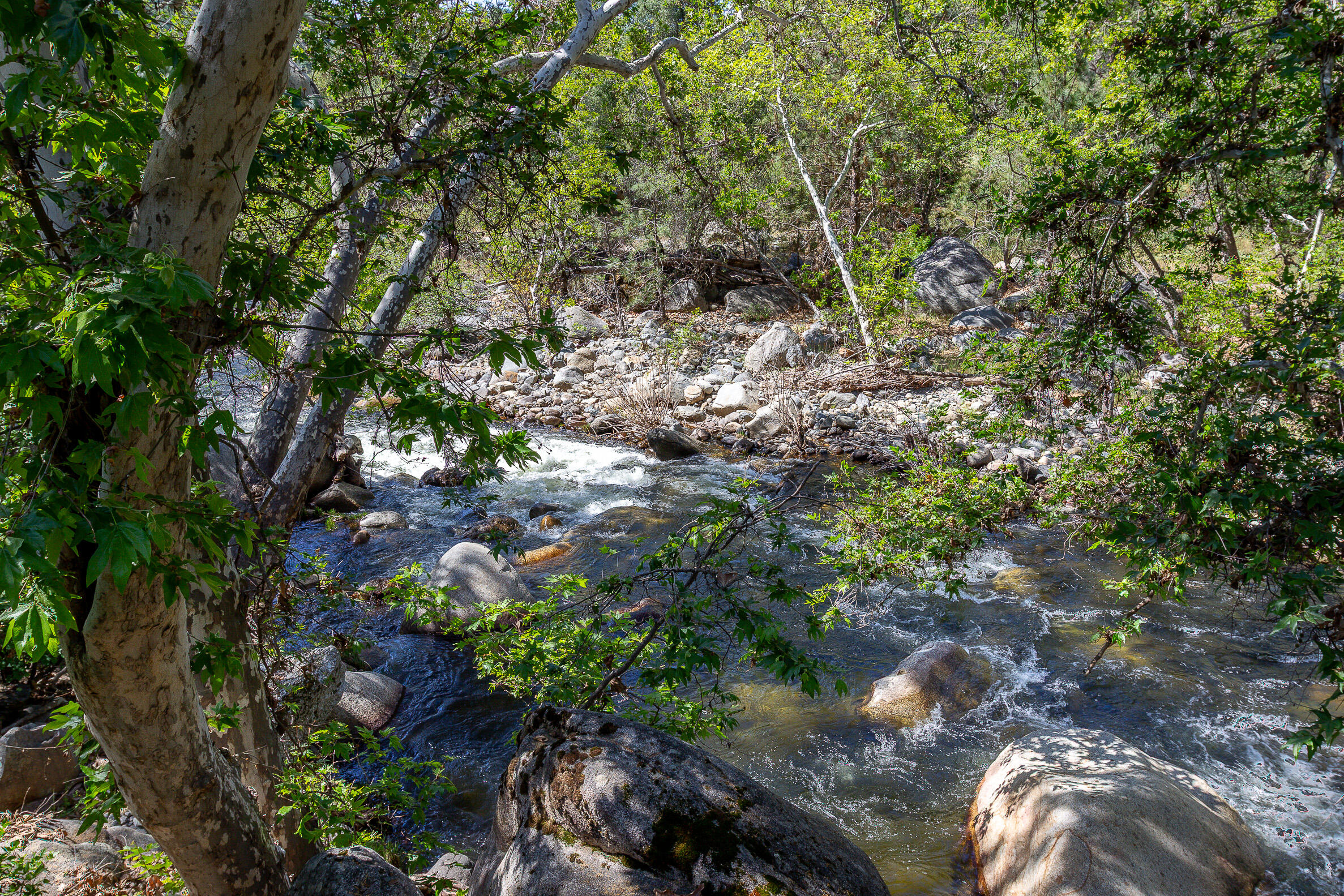 47993 N Fork Dr, Three Rivers, CA 93271