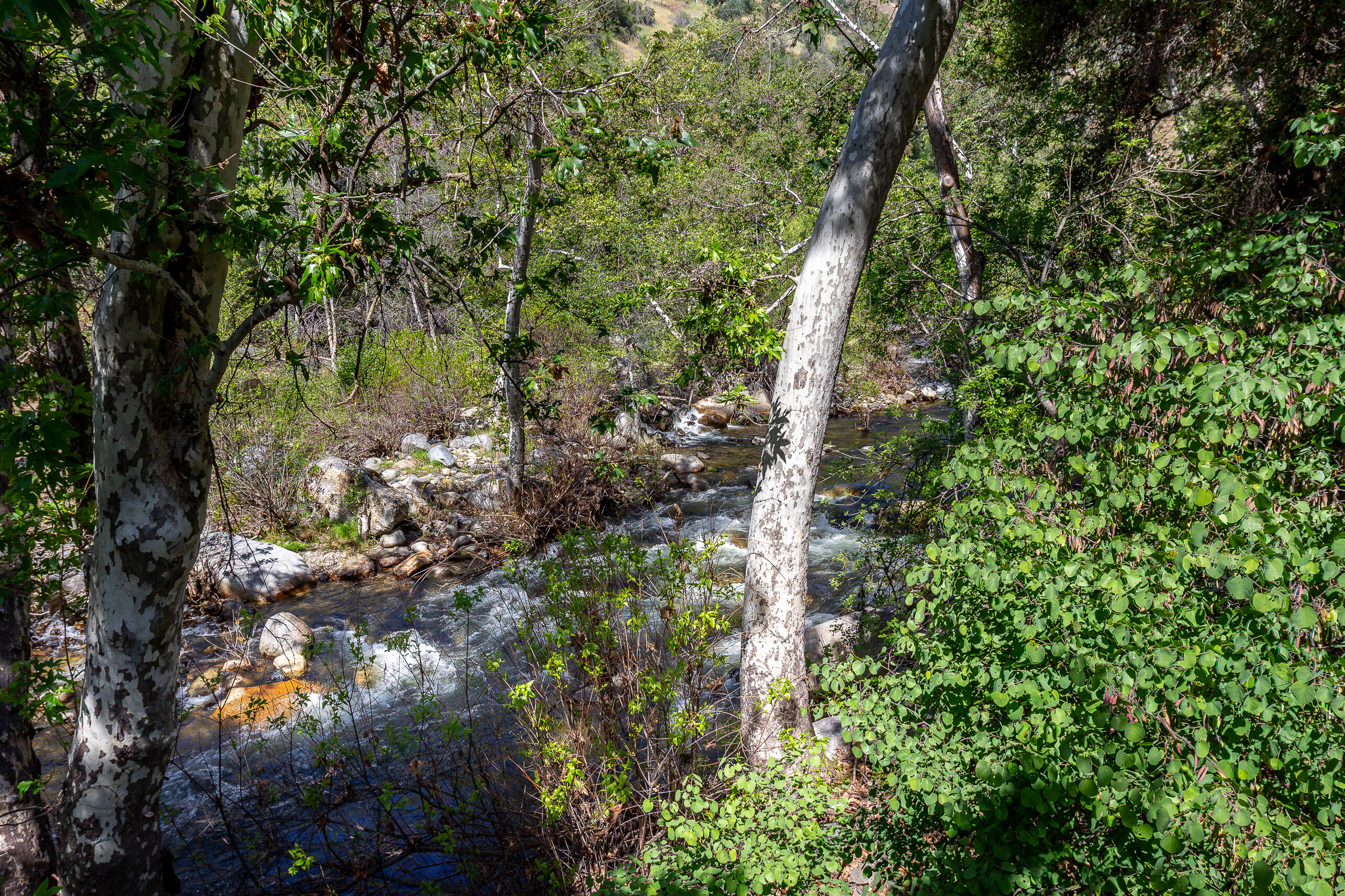 47993 N Fork Dr, Three Rivers, CA 93271