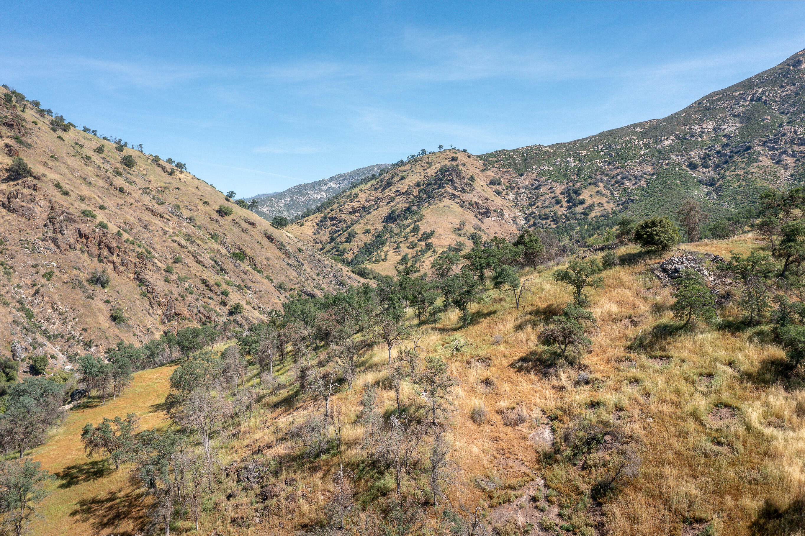 47993 N Fork Dr, Three Rivers, CA 93271