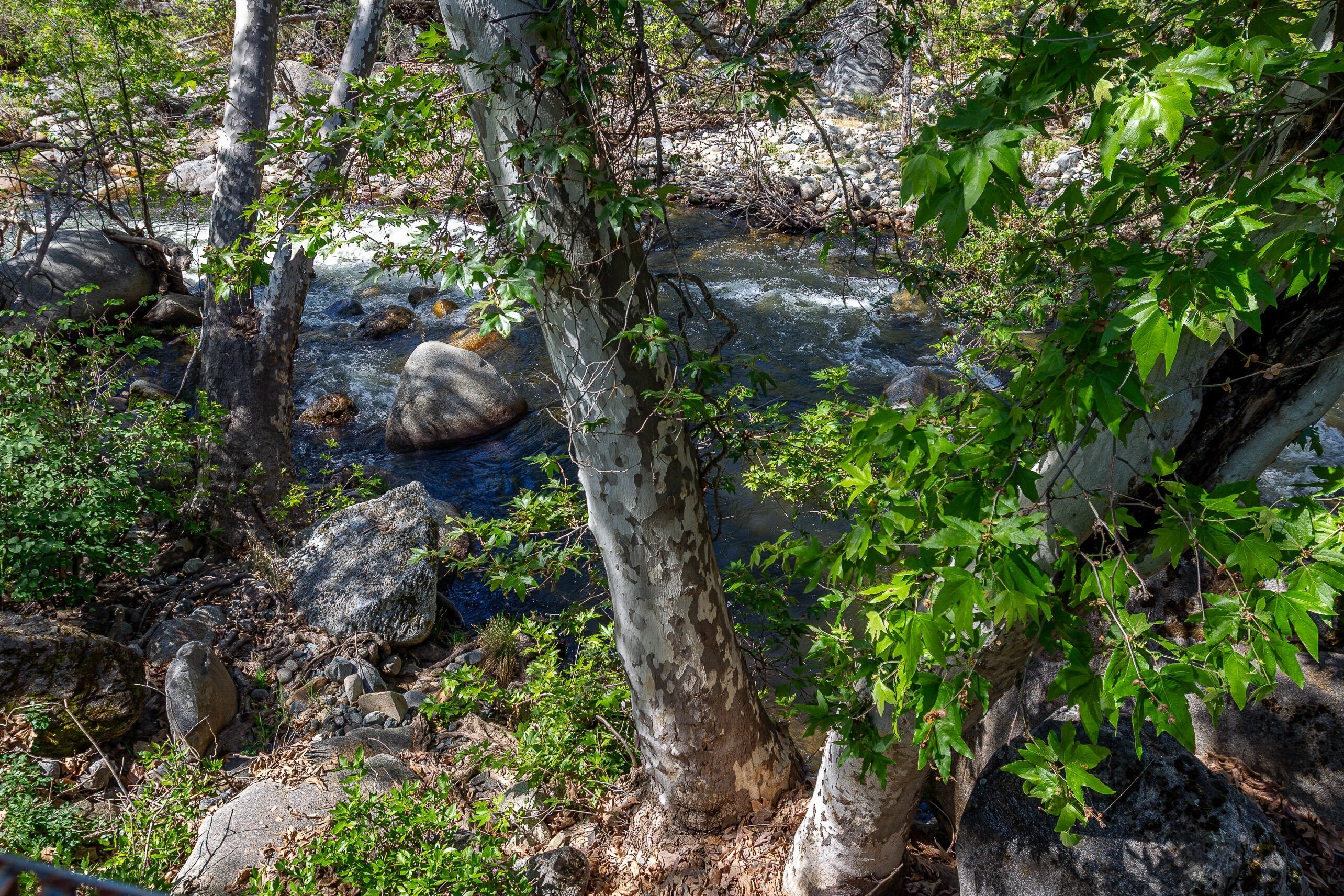 47993 N Fork Dr, Three Rivers, CA 93271