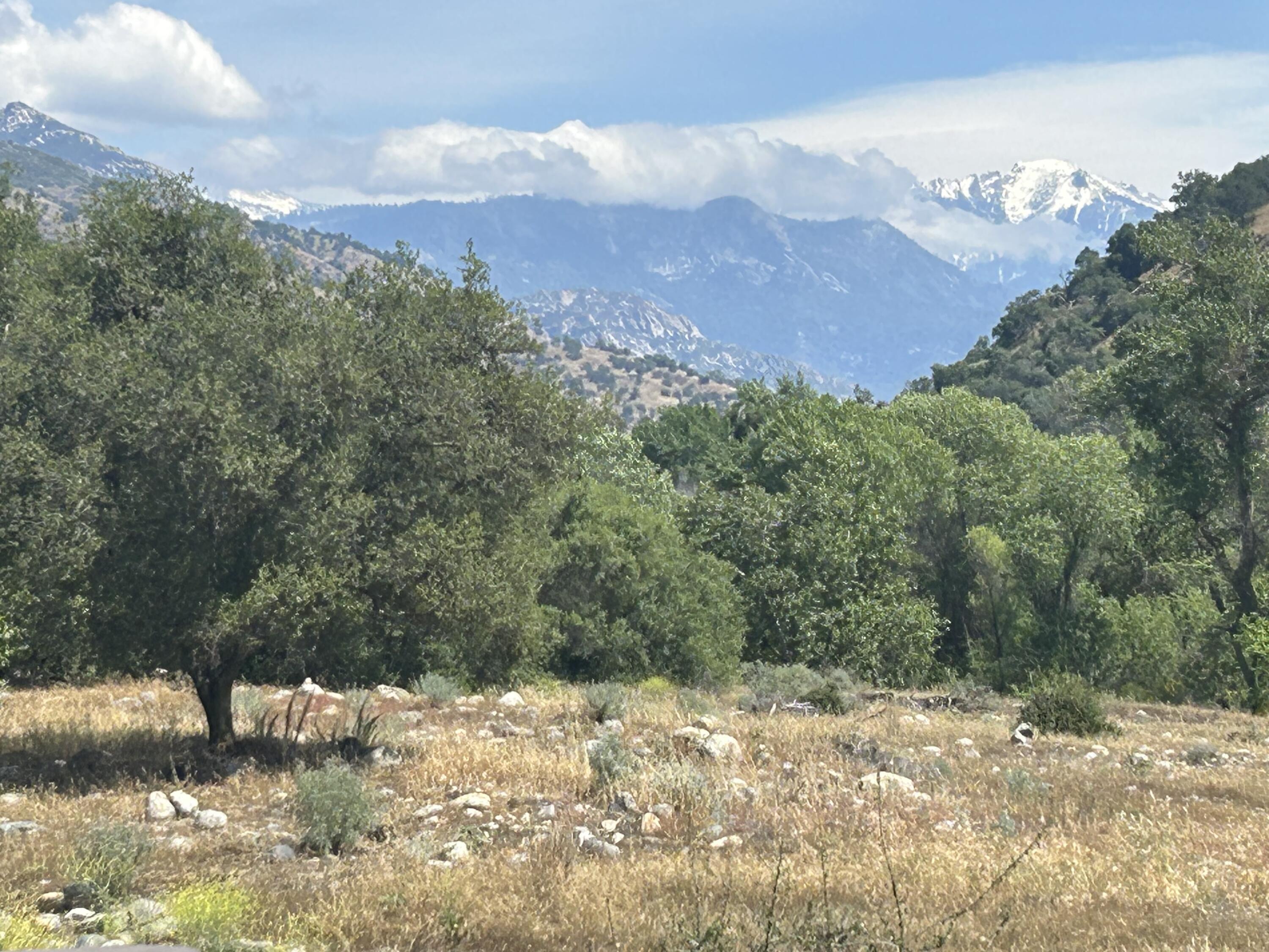 42000 N Fork Dr, Three Rivers, CA 93271