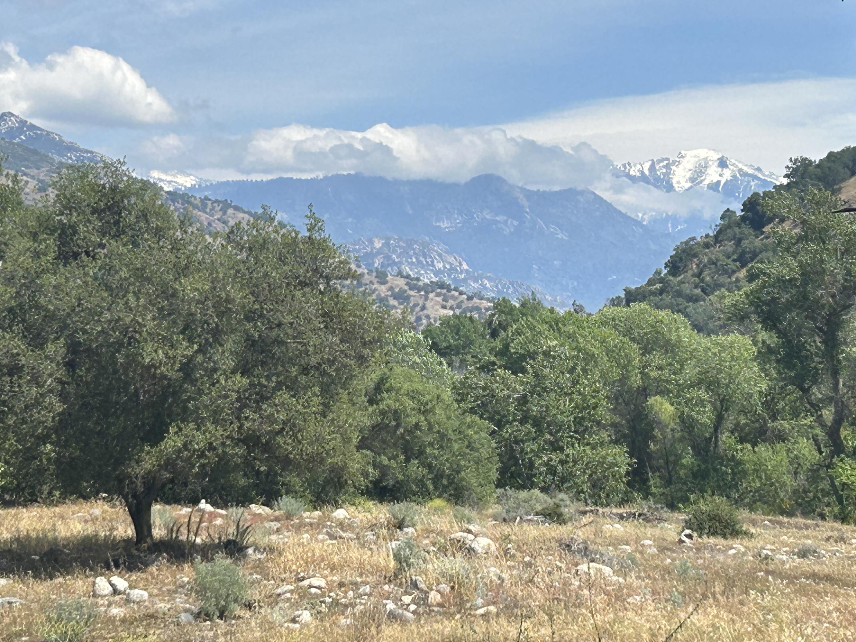 42000 N Fork Dr, Three Rivers, CA 93271