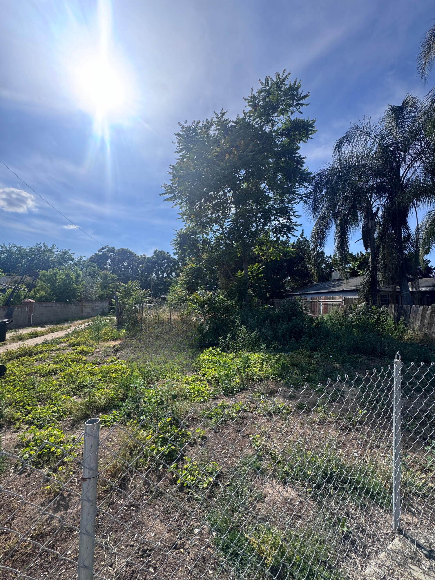 869 N Brundage Ave, Farmersville, CA 93223