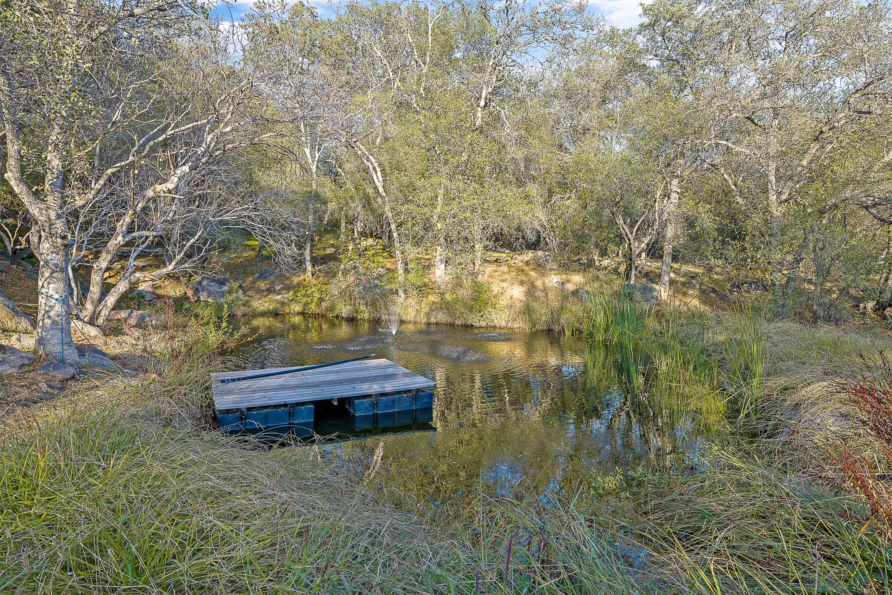 44879 Dinely Dr, Three Rivers, CA 93271