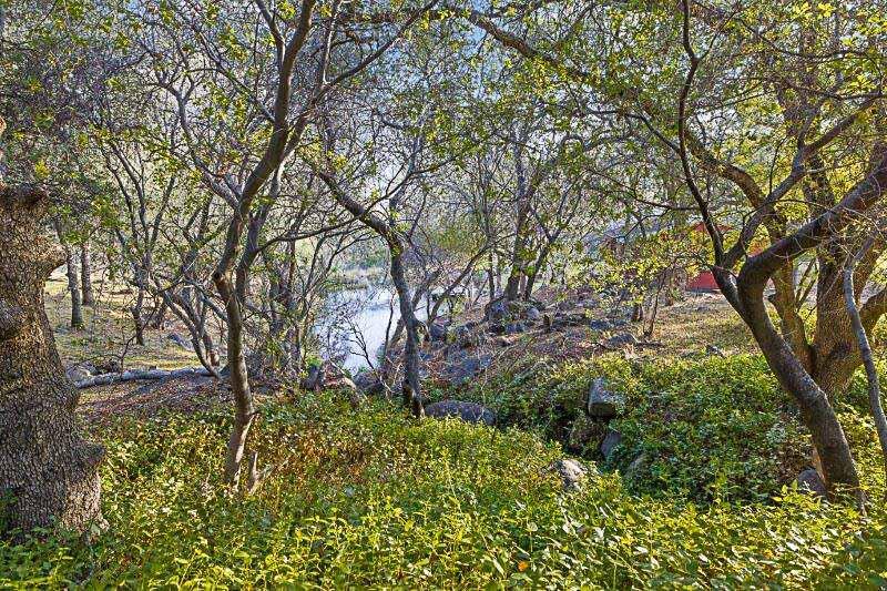 44879 Dinely Dr, Three Rivers, CA 93271