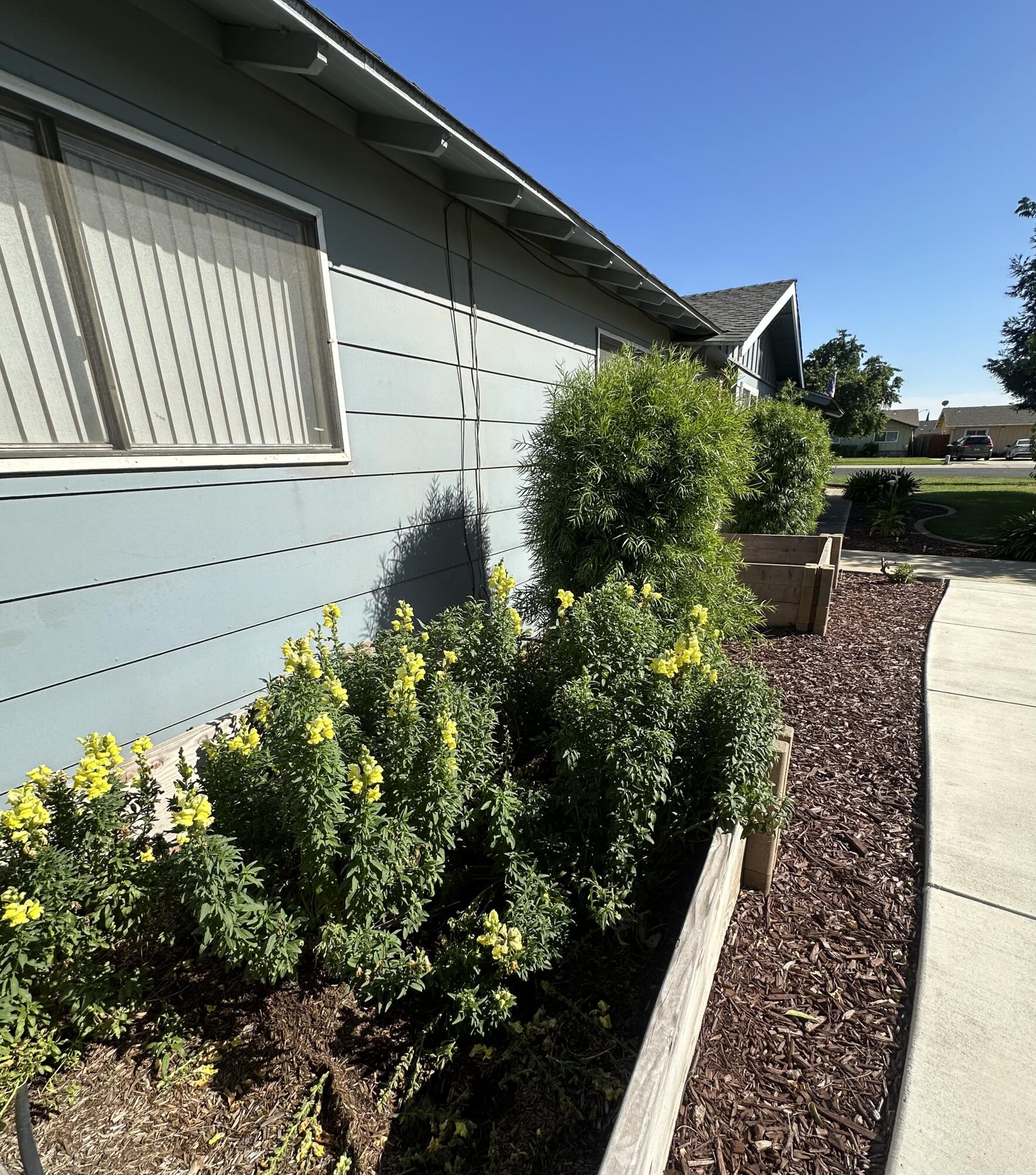 2350 S Dollner St, Visalia, CA 93277