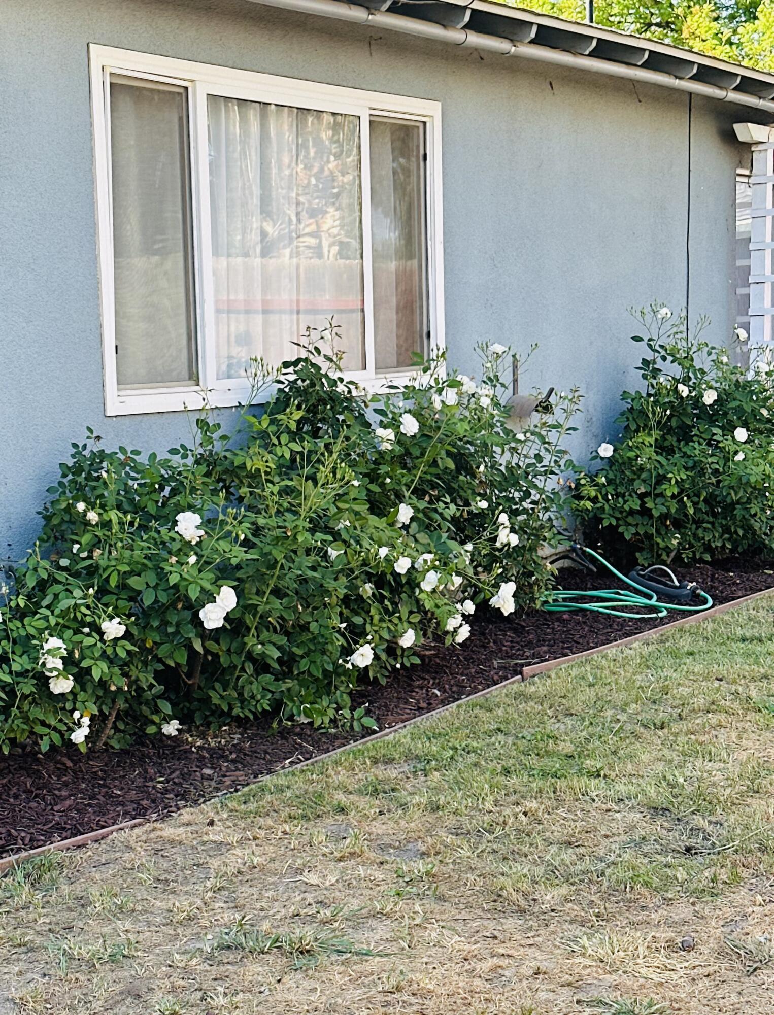 2350 S Dollner St, Visalia, CA 93277