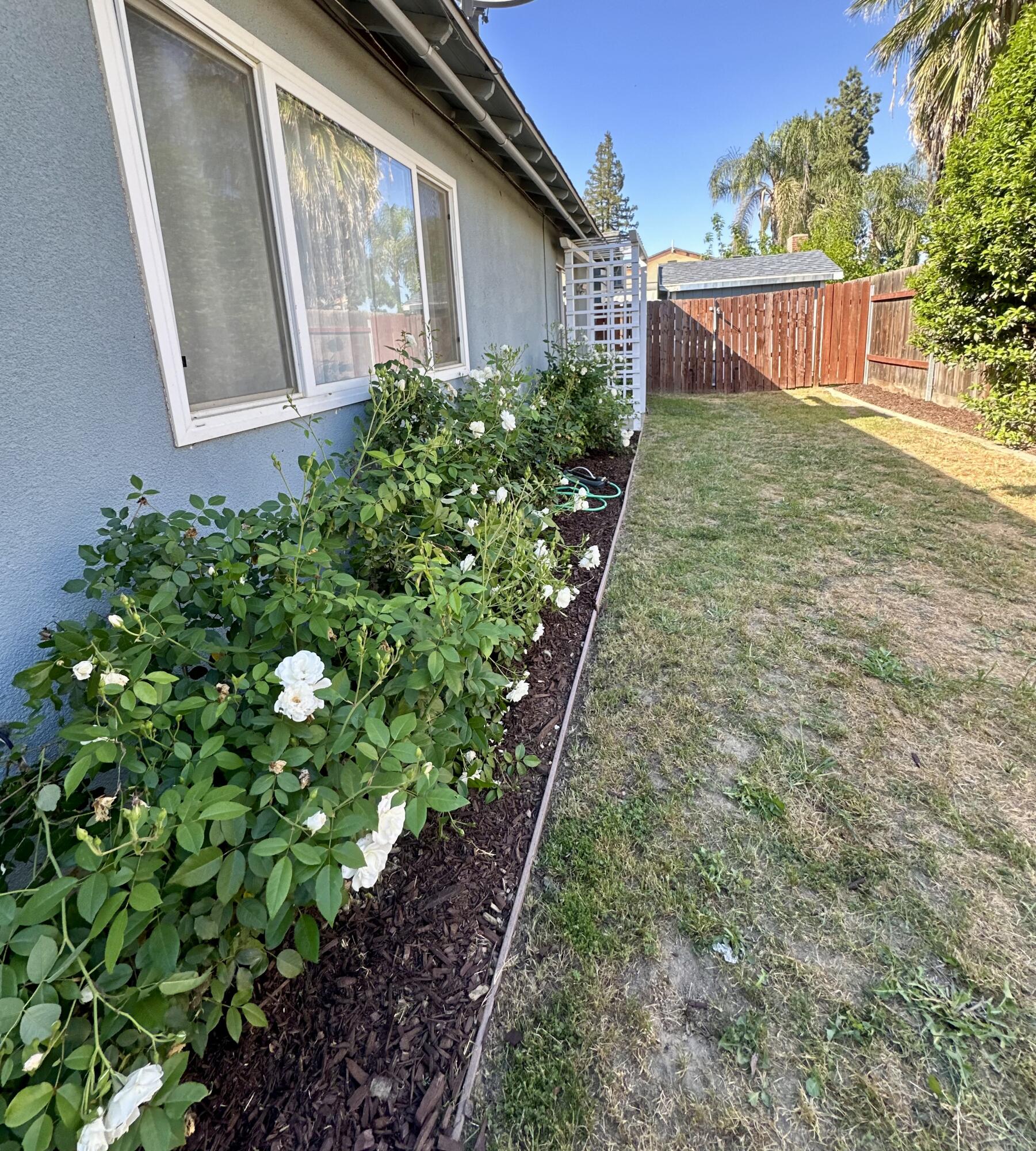 2350 S Dollner St, Visalia, CA 93277