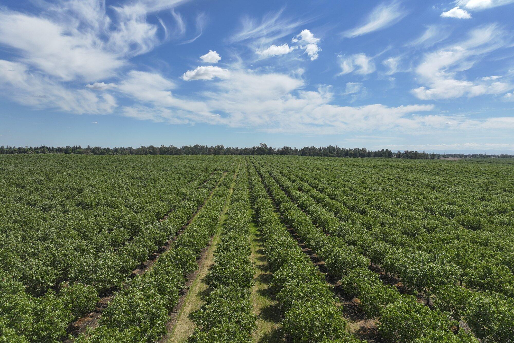 0 E Of Road 26, Madera, CA 93638