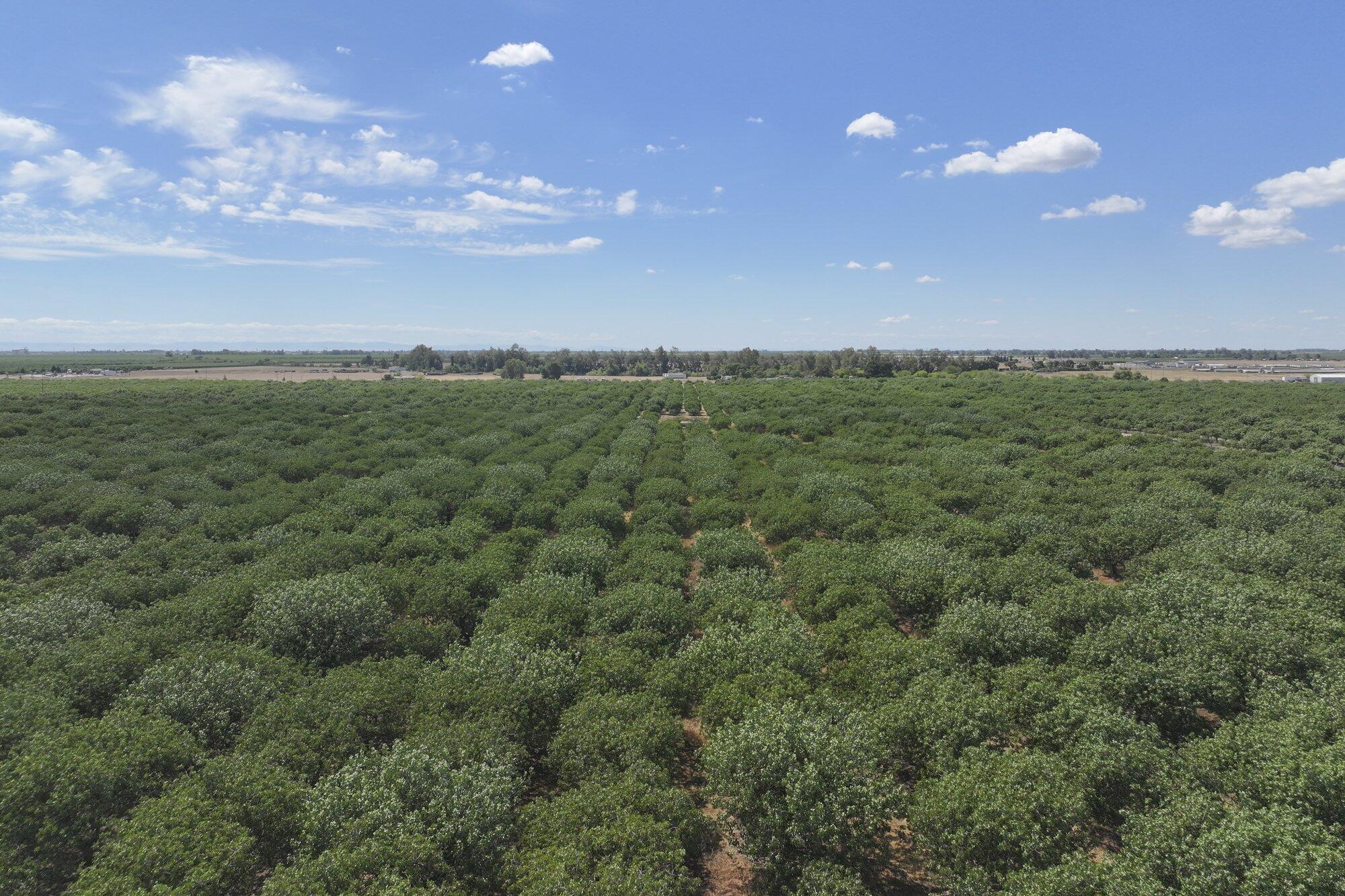 0 E Of Road 26, Madera, CA 93638