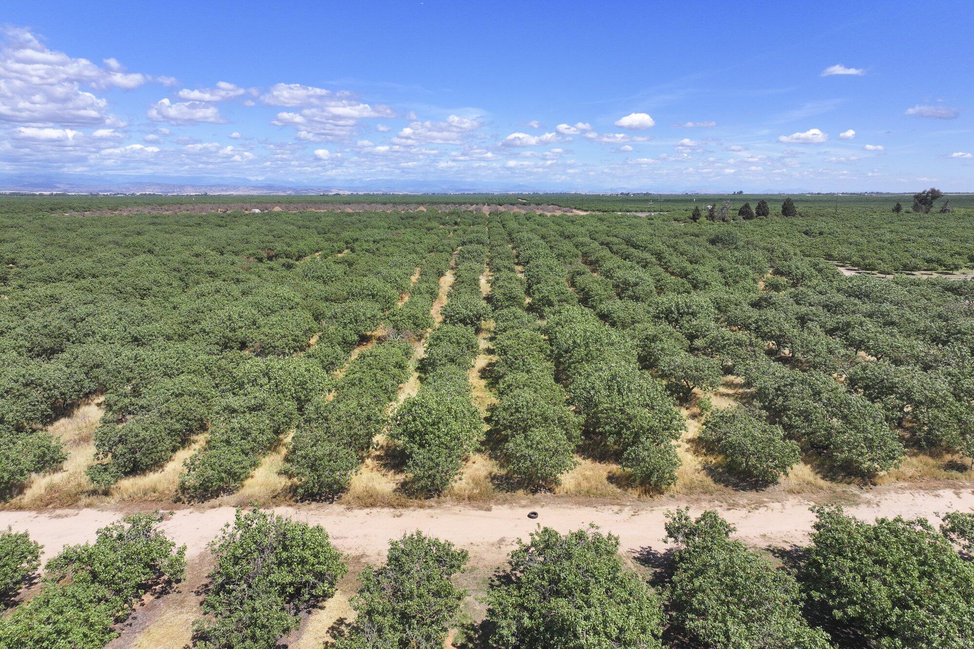 0 E Of Road 26, Madera, CA 93638