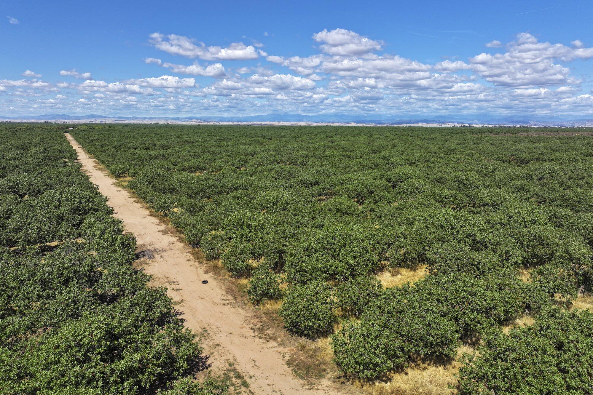 0 E Of Road 26, Madera, CA 93638