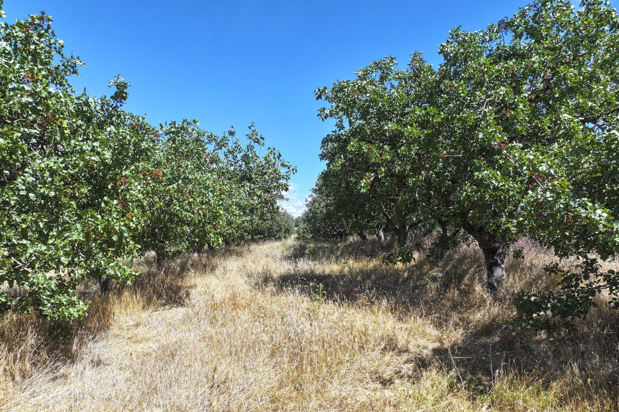 0 E Of Road 26, Madera, CA 93638