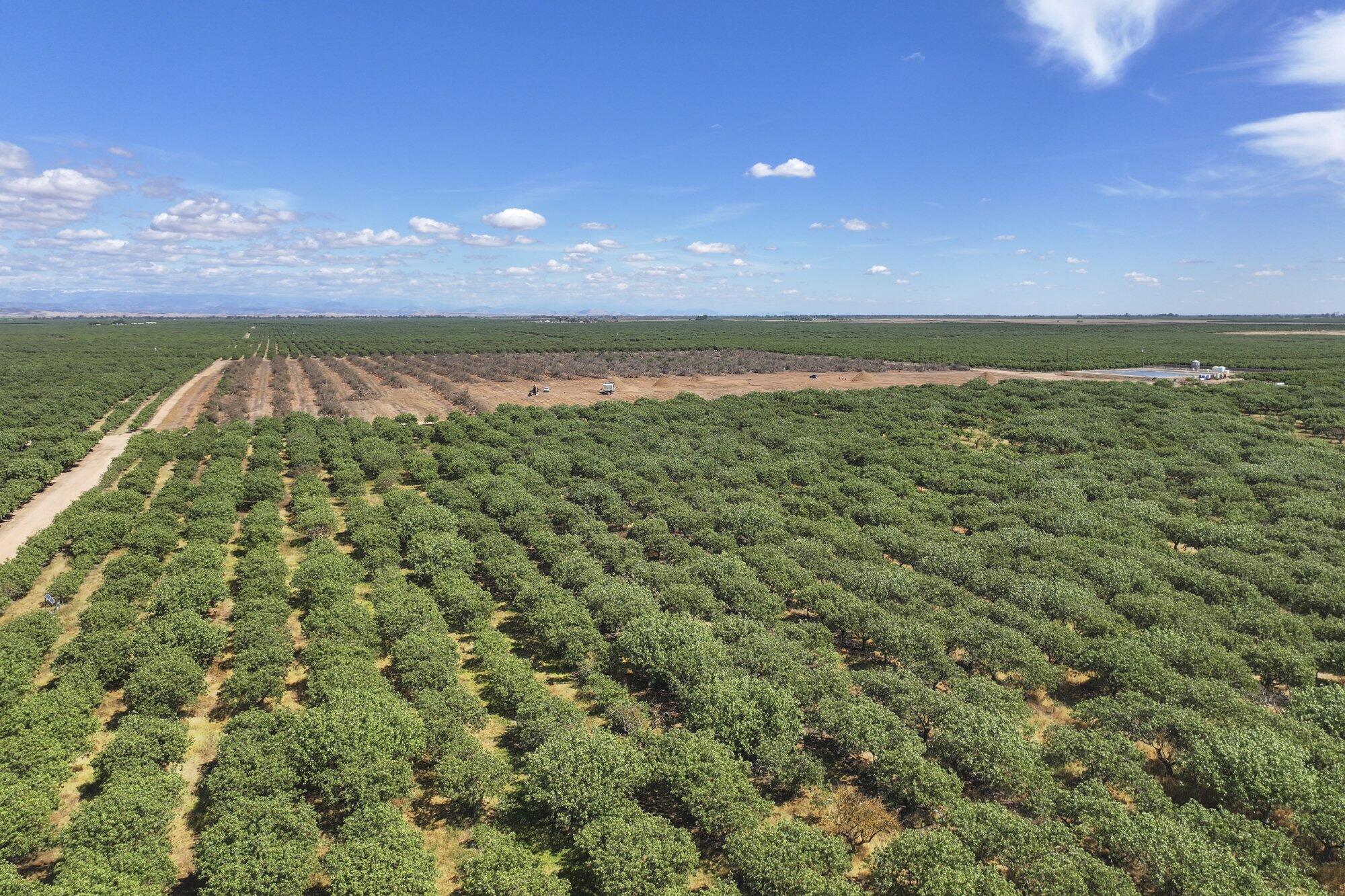 0 E Of Road 26, Madera, CA 93638