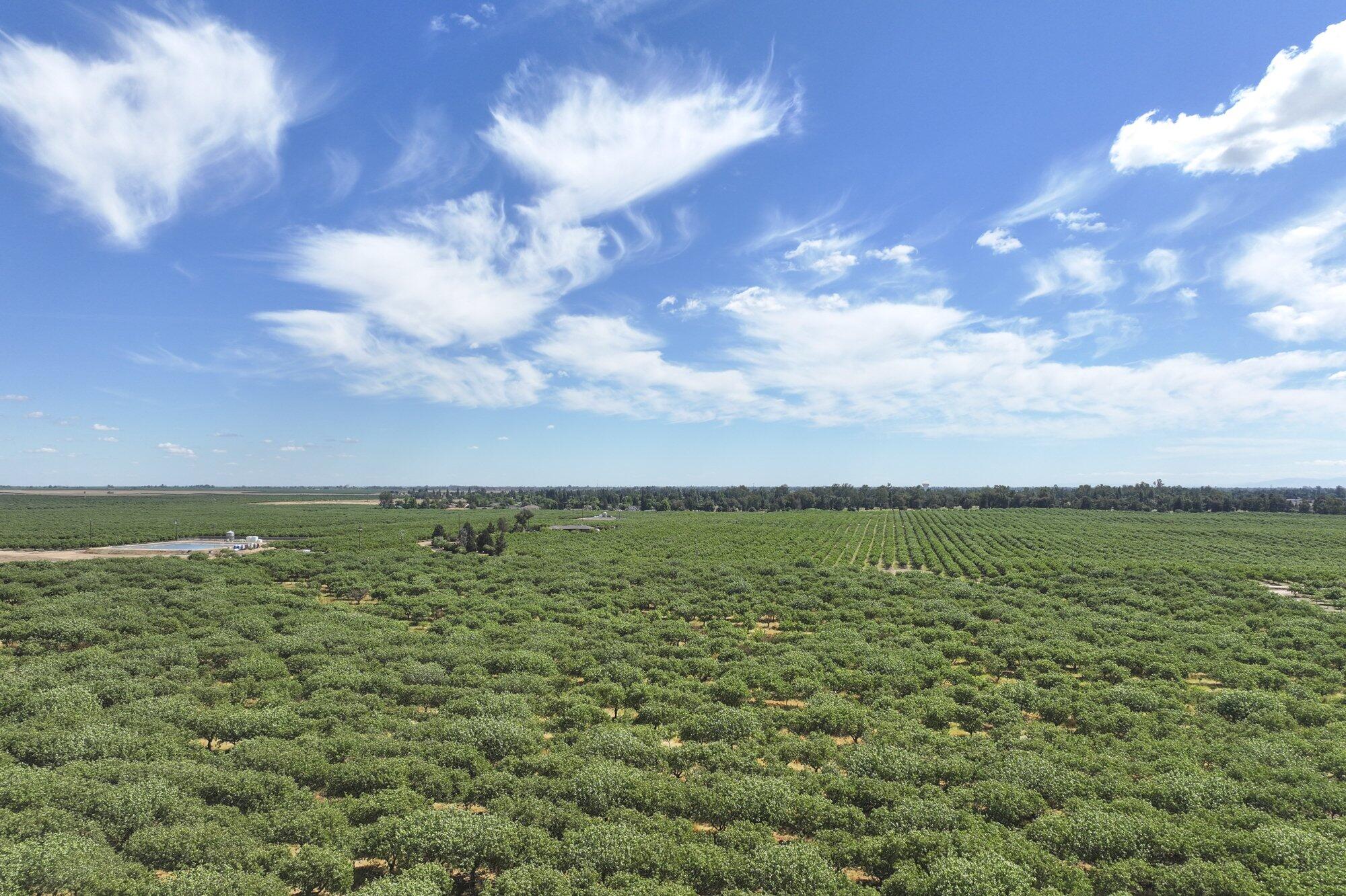 0 E Of Road 26, Madera, CA 93638