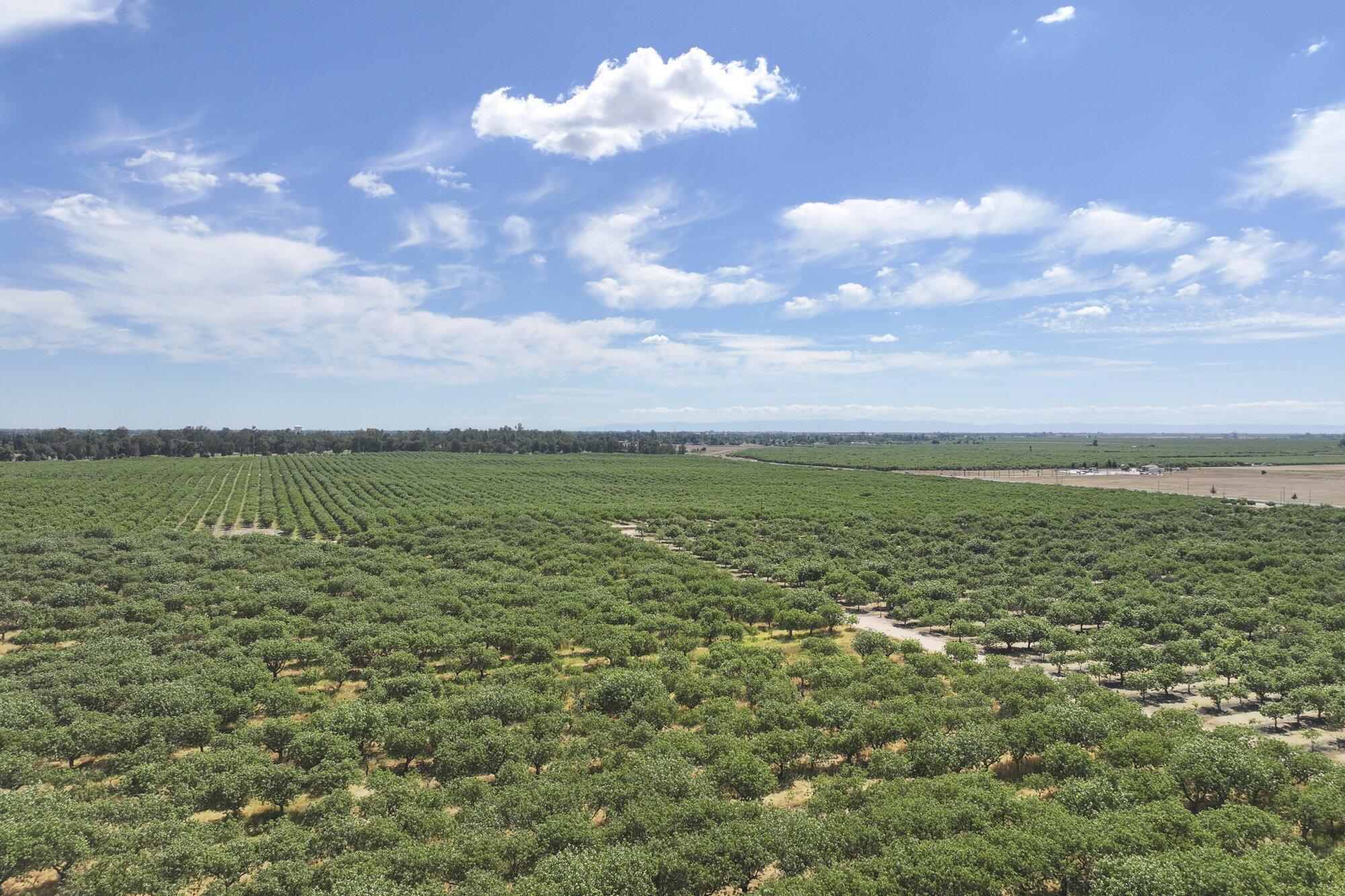 0 E Of Road 26, Madera, CA 93638