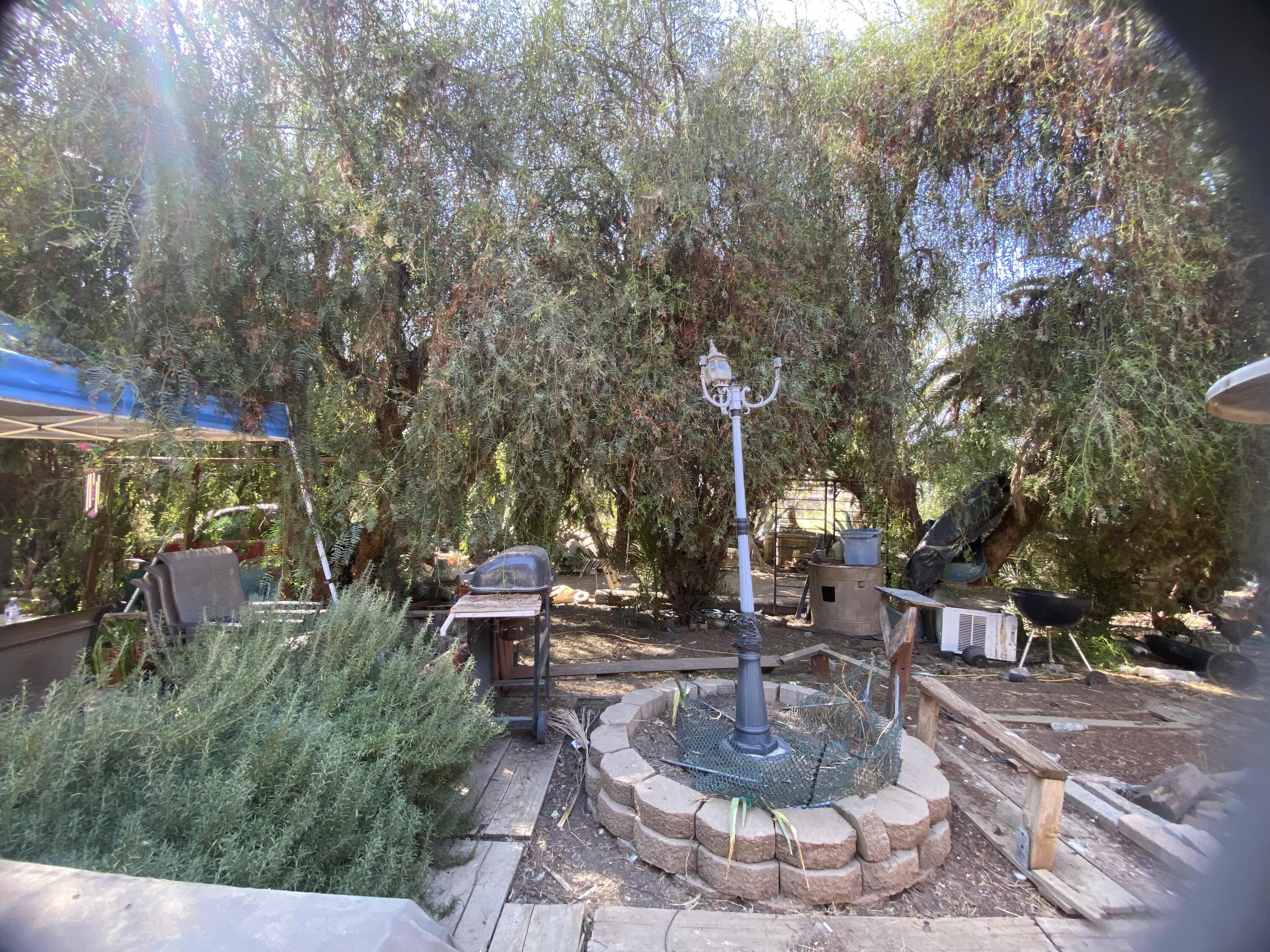 13200 Ave 414, Orosi, CA 93647