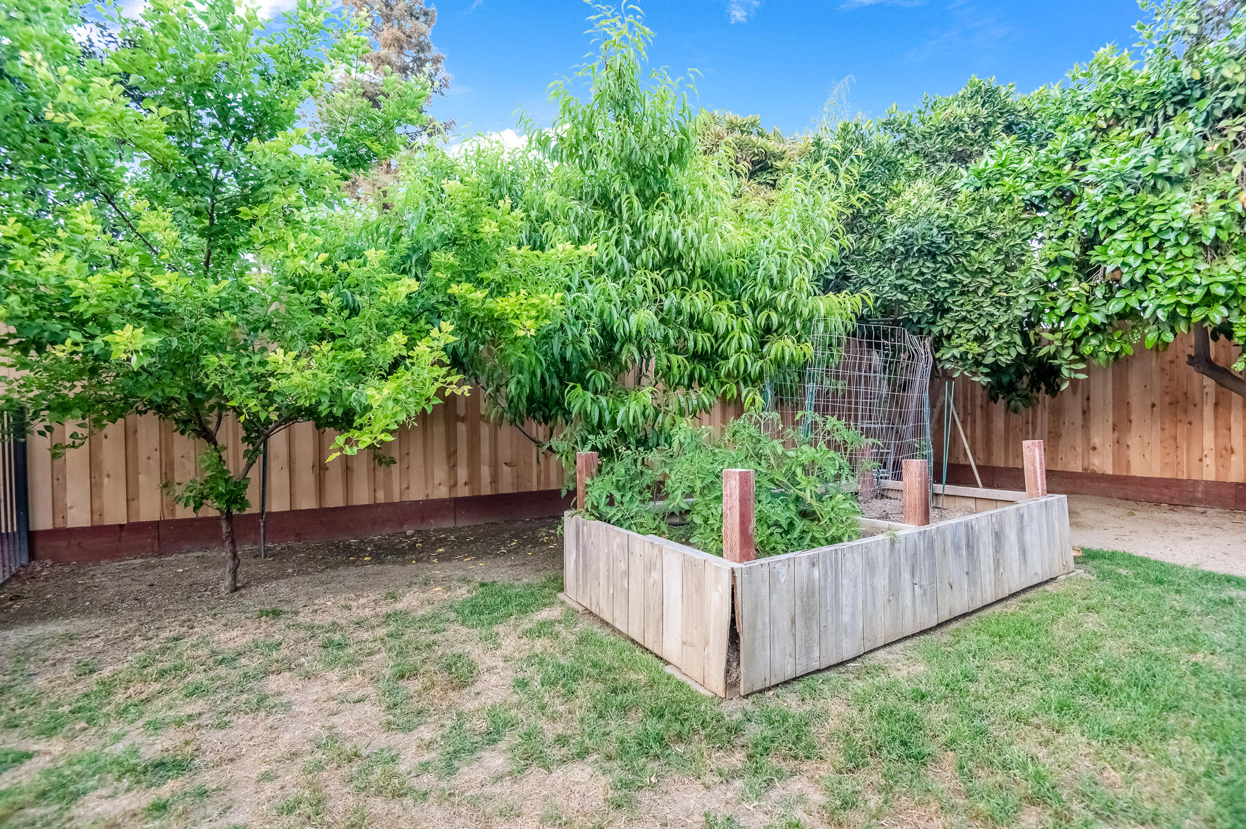 4648 W Allen Ave, Visalia, CA 93291