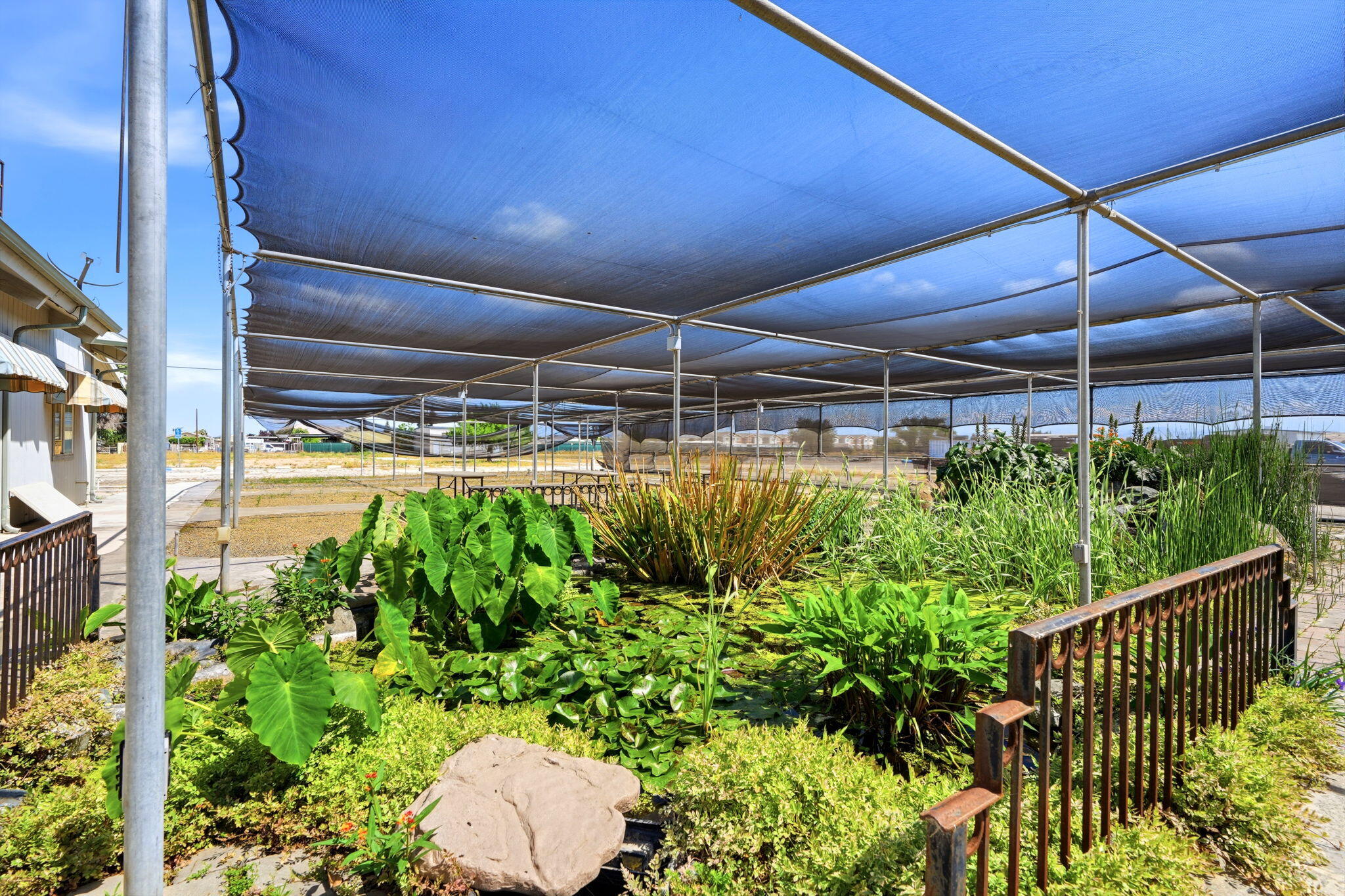 1260 S Buttonwillow Ave, Reedley, CA 93654