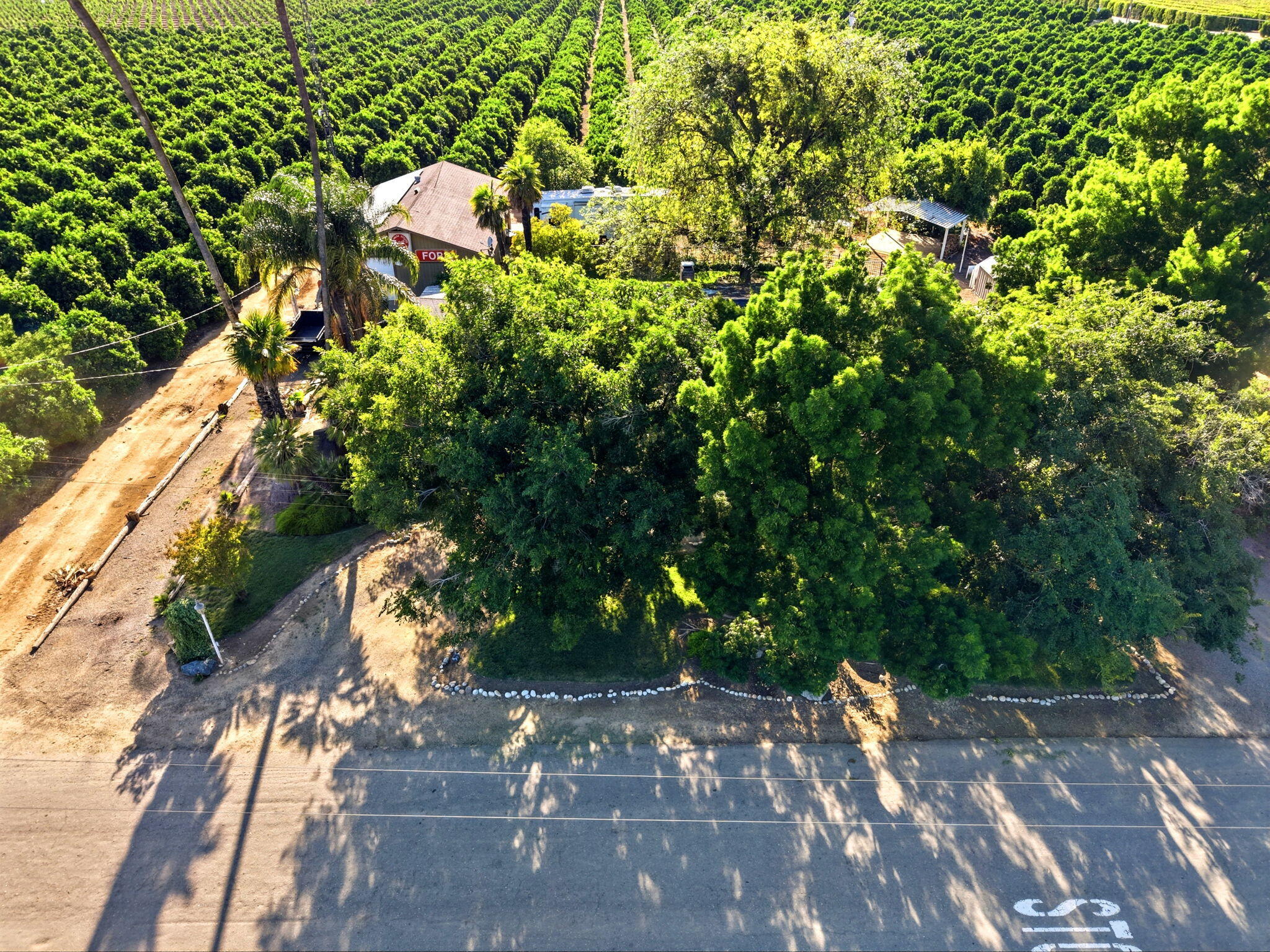 34339 Rd 162, Visalia, CA 93292