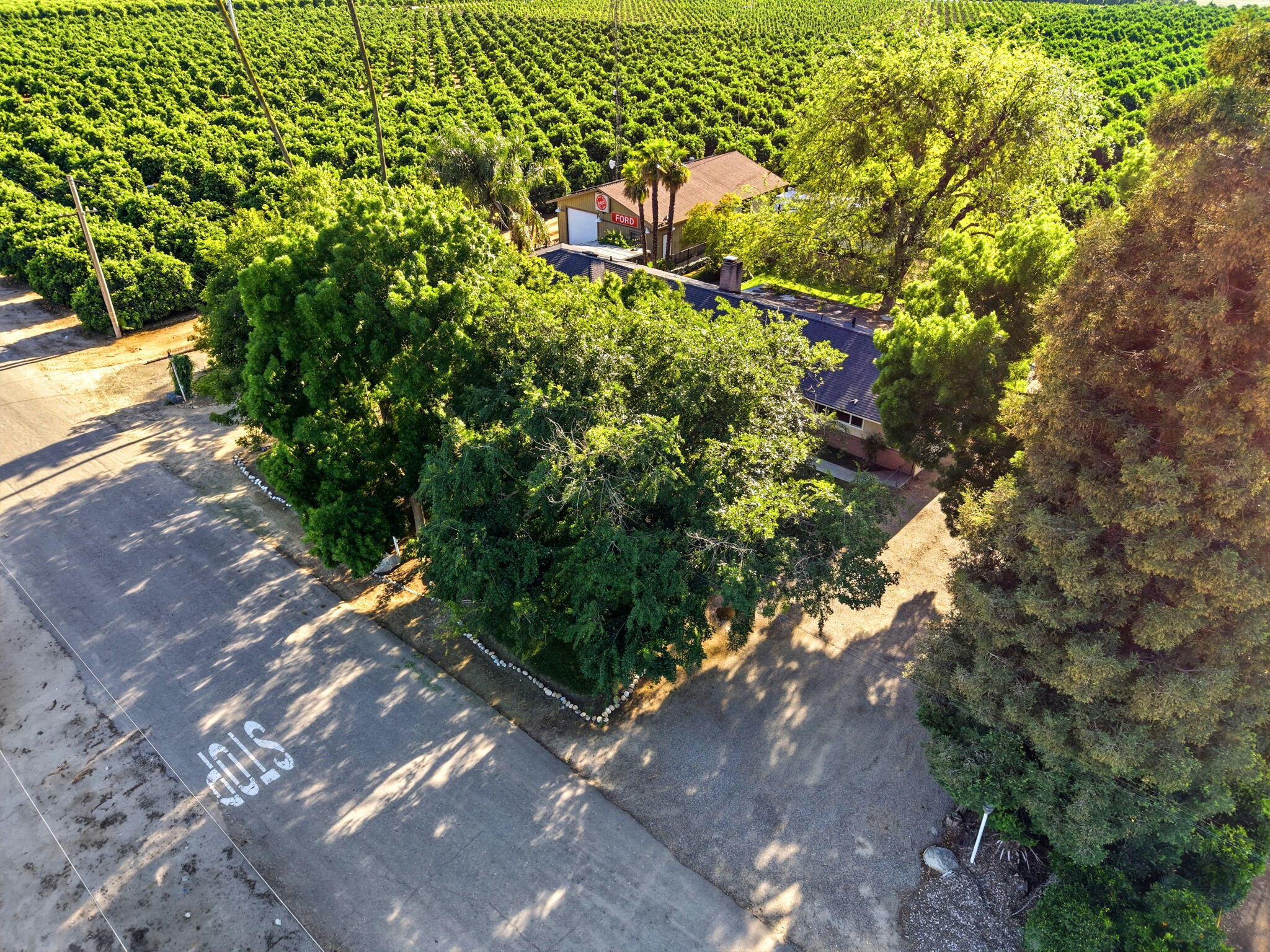 34339 Rd 162, Visalia, CA 93292