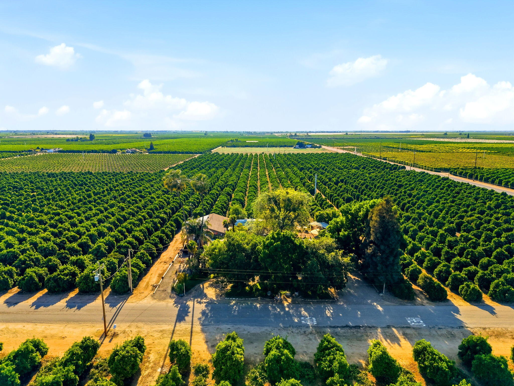 34339 Rd 162, Visalia, CA 93292