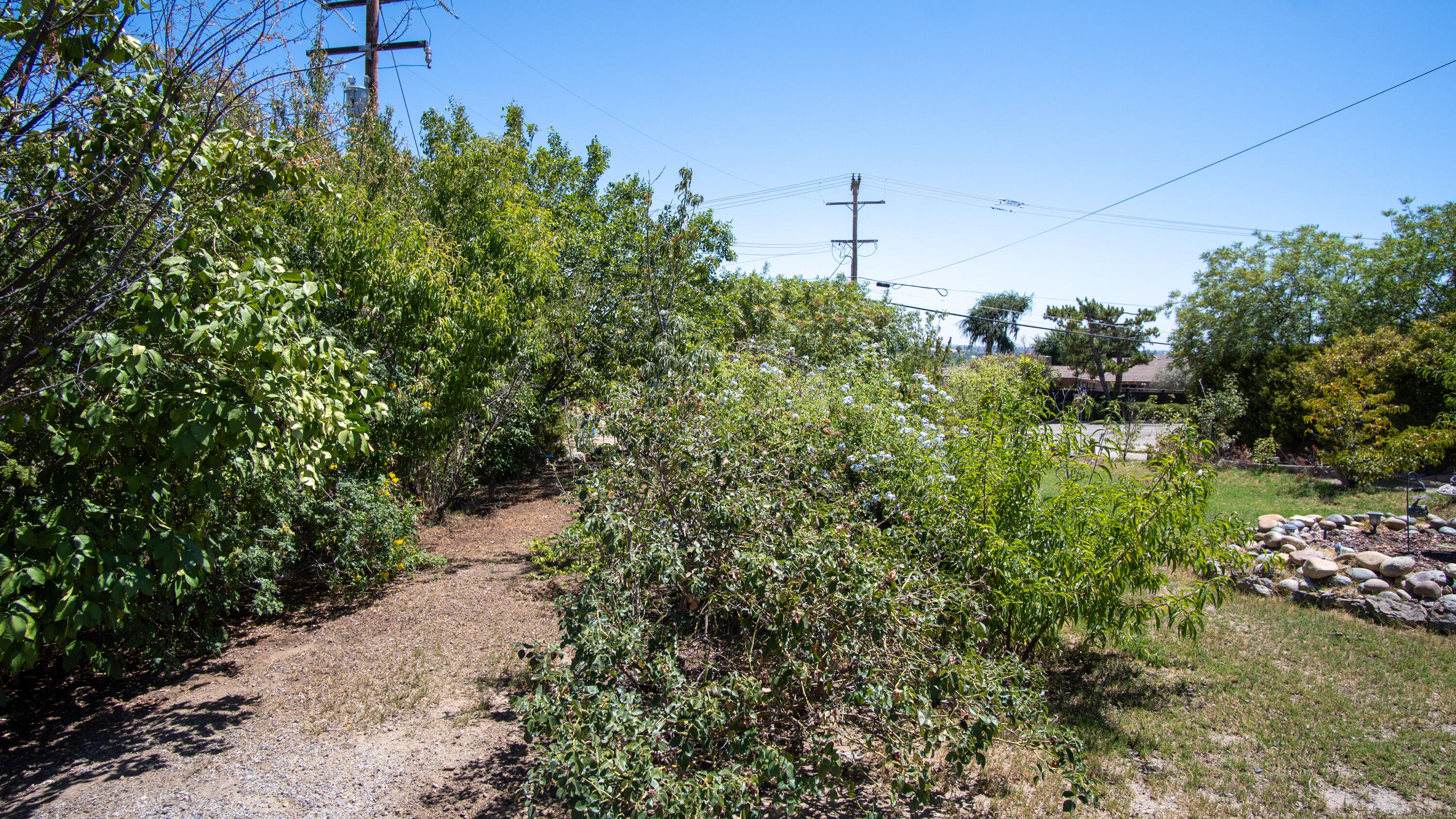 960 E Morton Hill, Porterville, CA 93257
