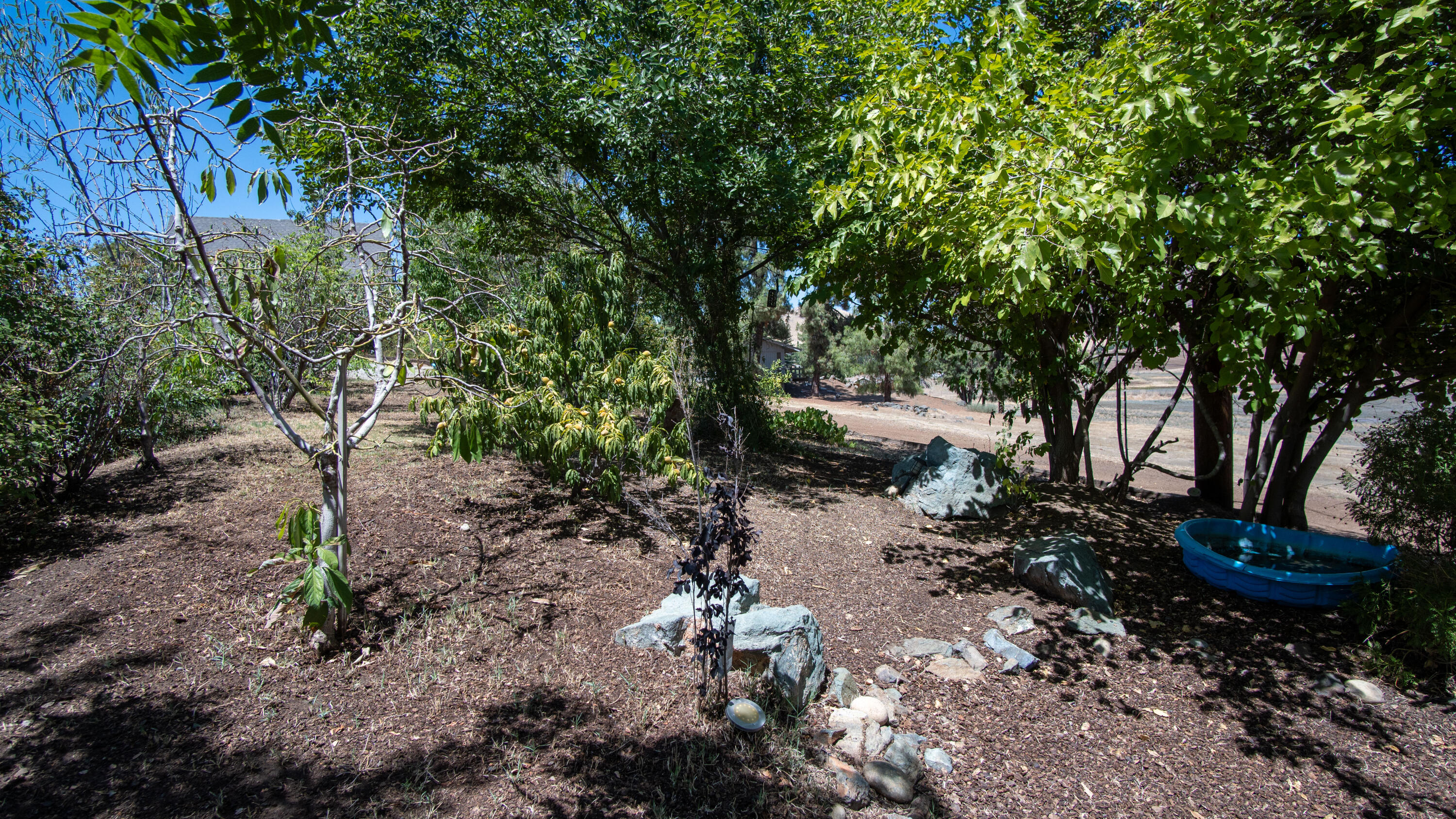 960 E Morton Hill, Porterville, CA 93257