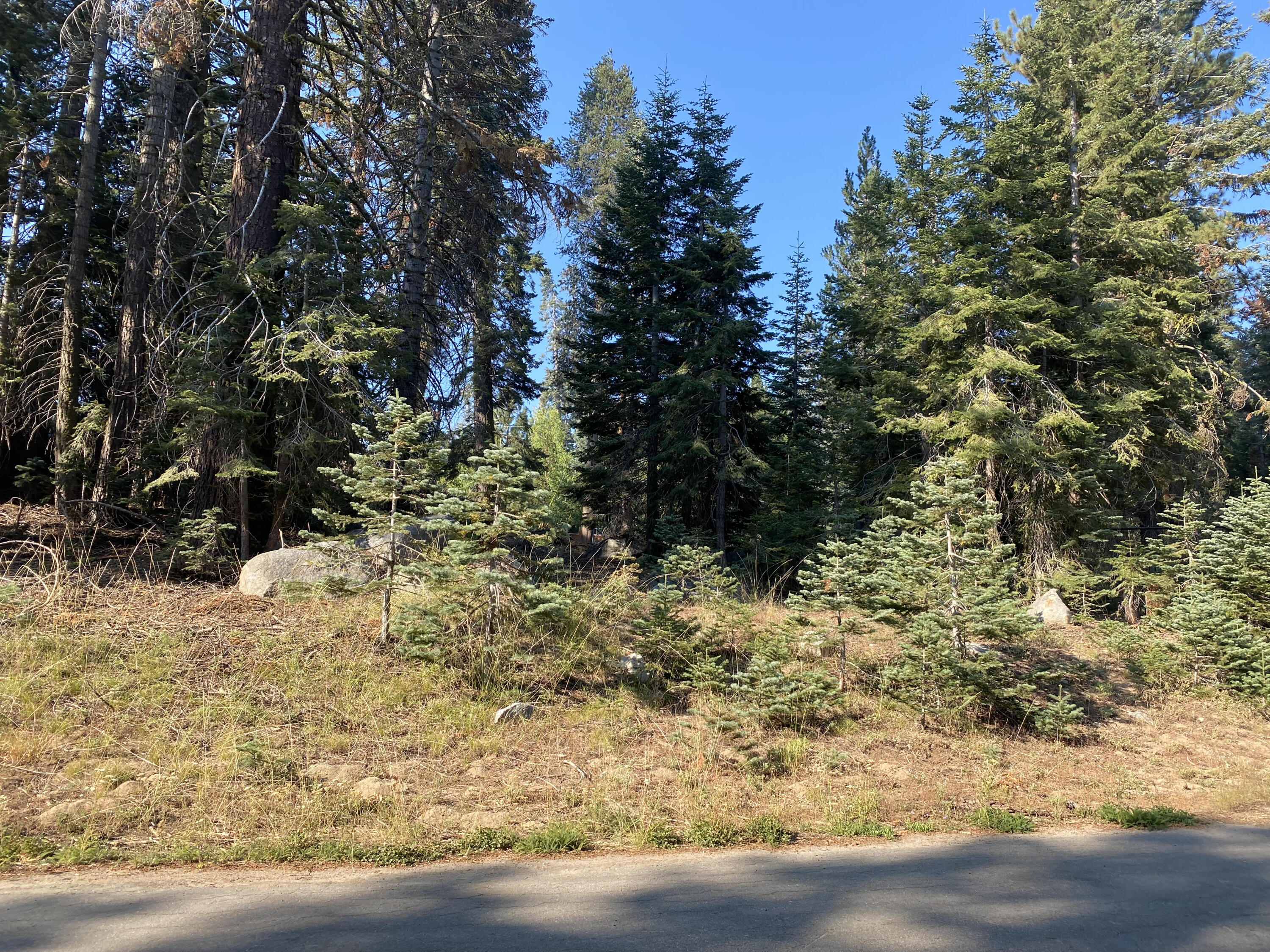 57594 Silver Tip Dr, Springville, CA 93265