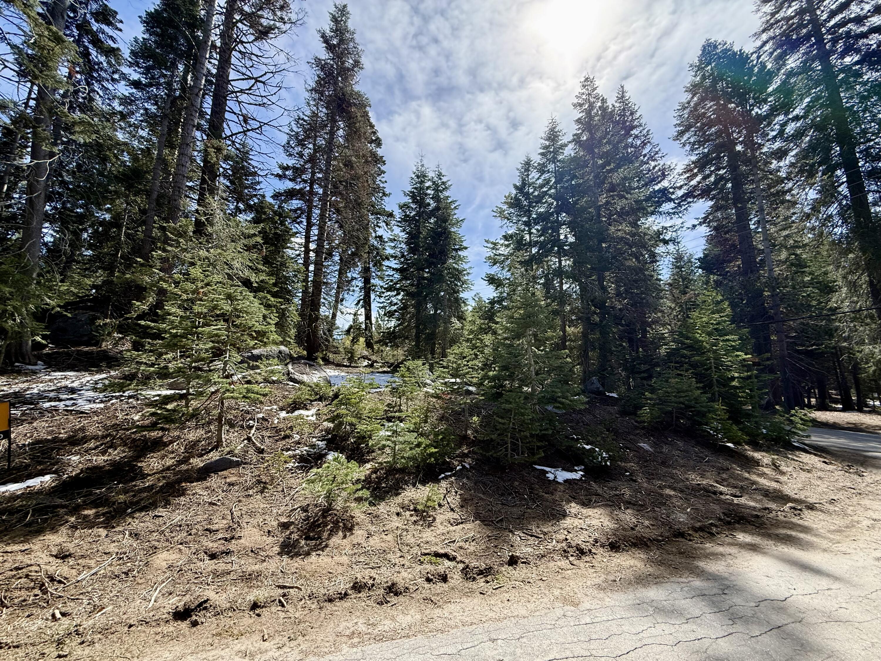 57594 Silver Tip Dr, Springville, CA 93265