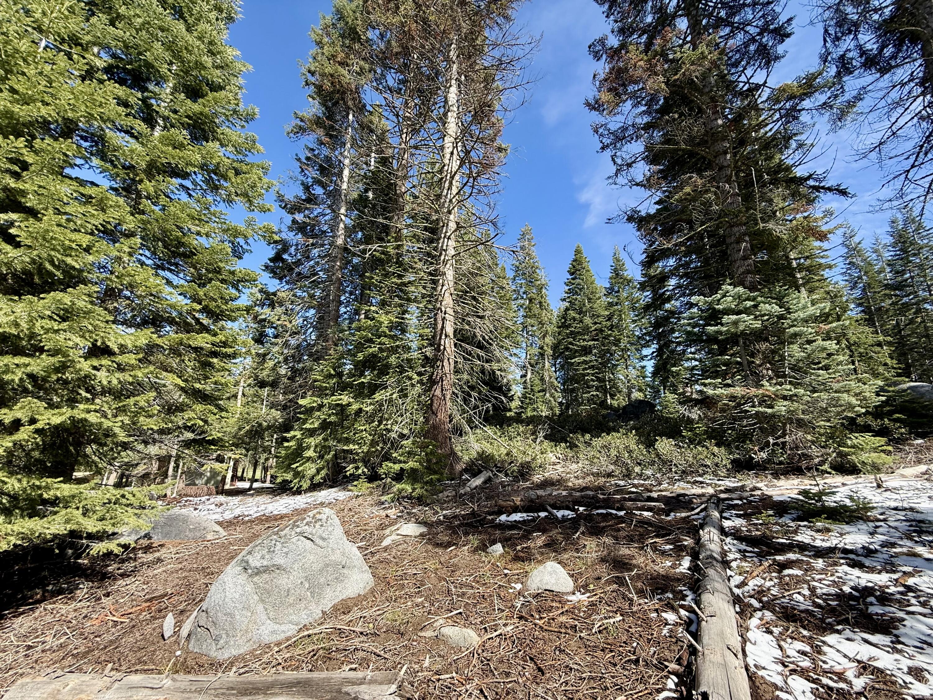 57594 Silver Tip Dr, Springville, CA 93265